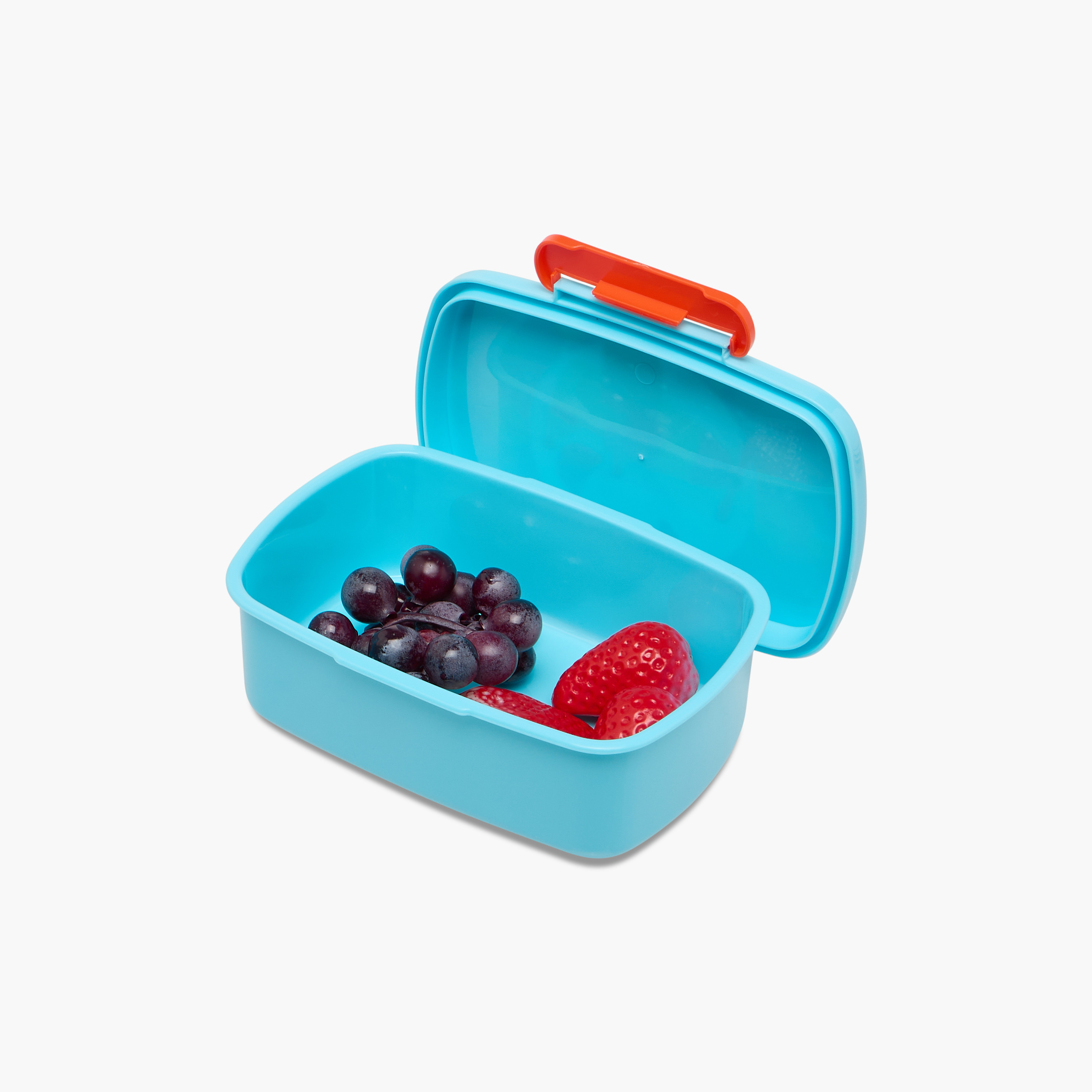 Fisher-Price Printed Lunch Box-school-lunchessentials-lunchboxes-image-8