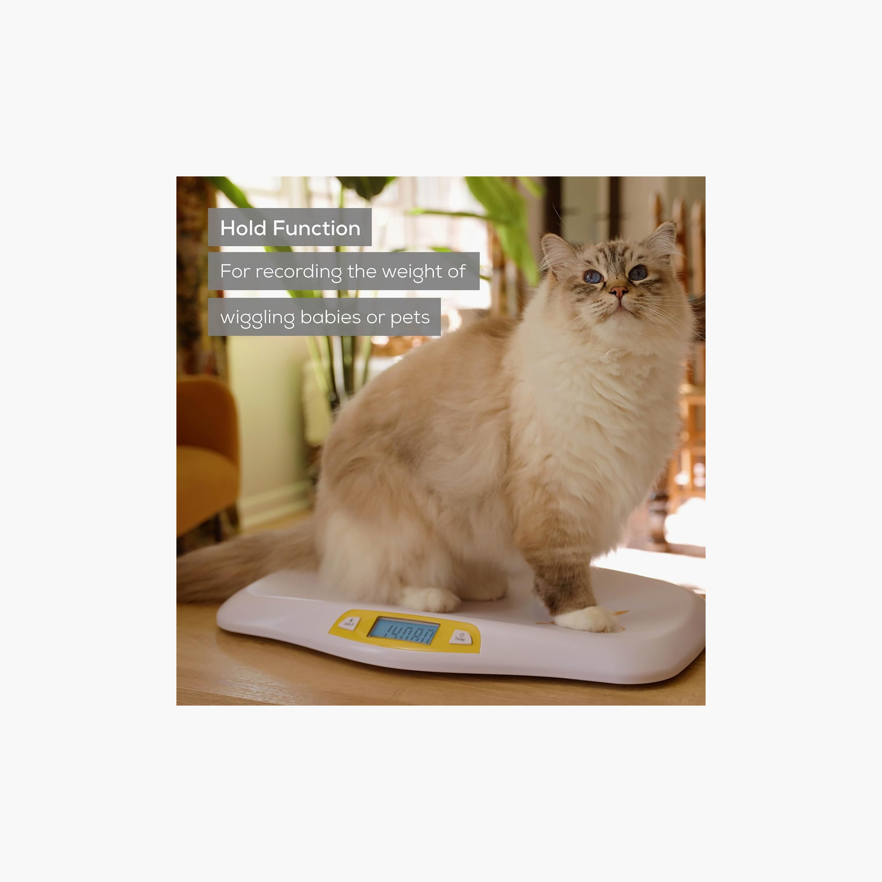 Beurer Digital Baby Scale with German Technology-baby-healthandsafety-thermometersandaspirators-image-6
