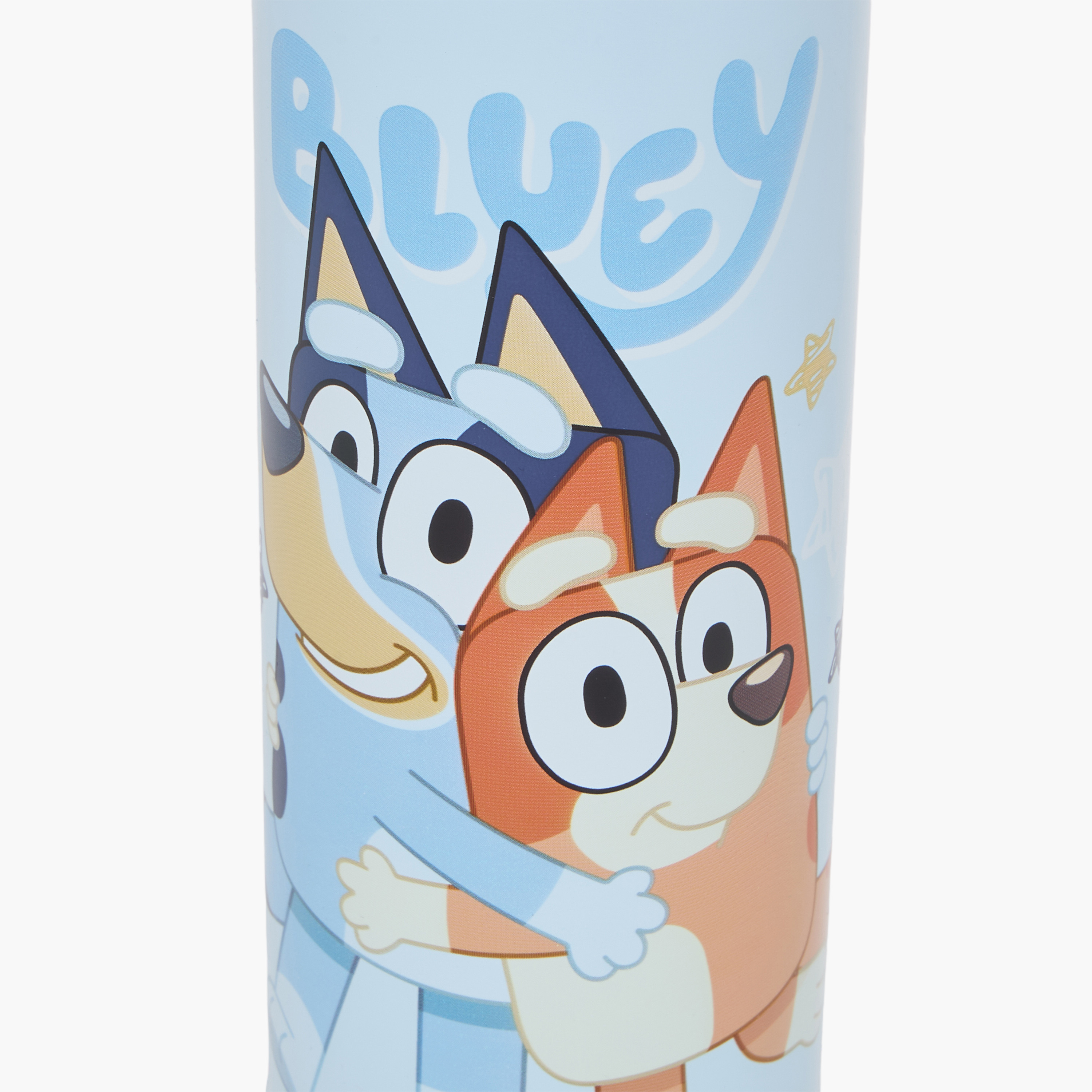 Bluey Print Double Wall Stainless Steel Water Bottle - 450 ml-school-waterbottles-image-5