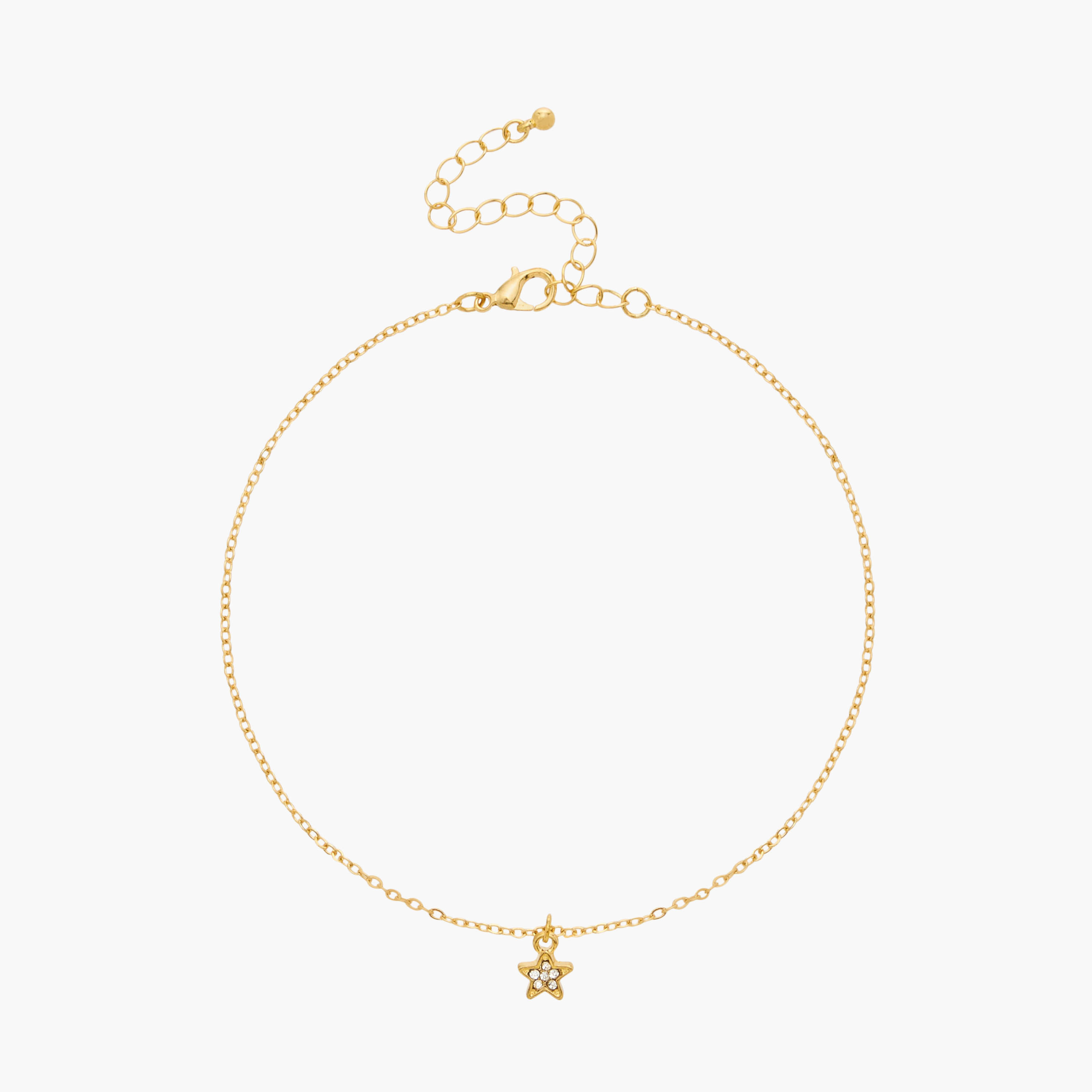 Assorted Anklet with Lobster Clasp Closure - Set of 4-women-watchesandjewellery-jewellery-anklets-image-6