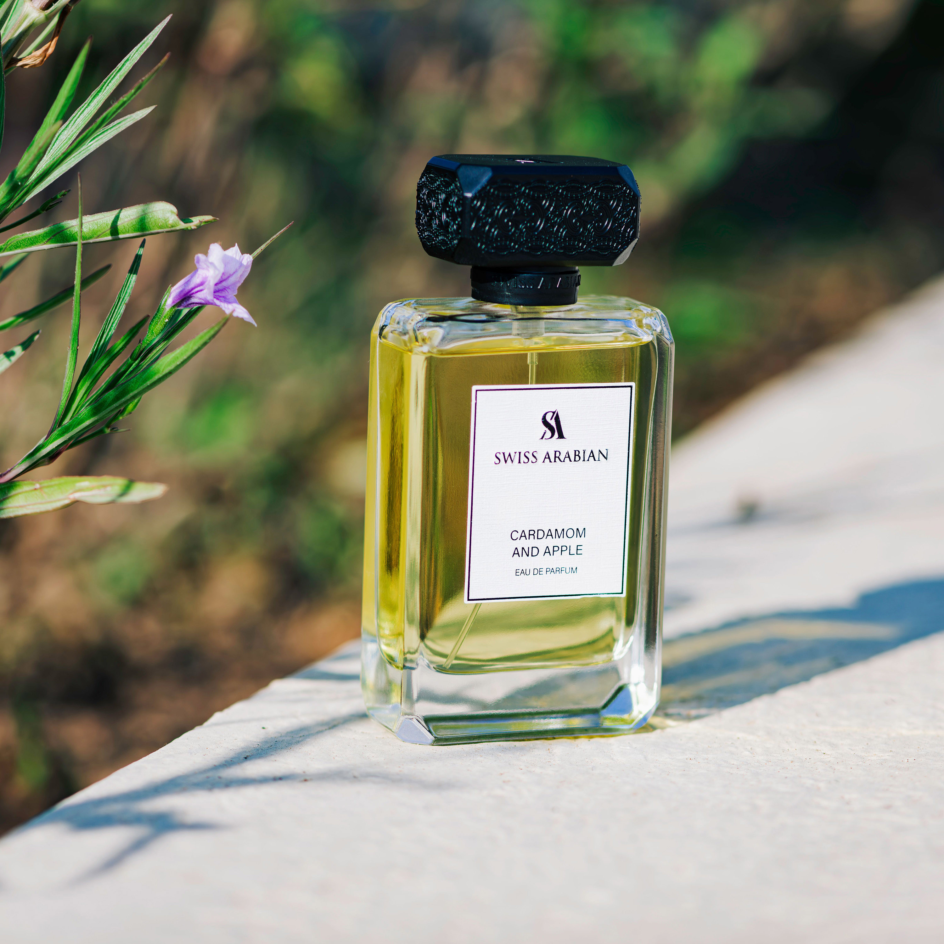 عطر أو دي برفان بالتفاح والهيل للرجال من سويس أربيان - 100 مل-beautyandpersonalcare-fragrance-men-image-3