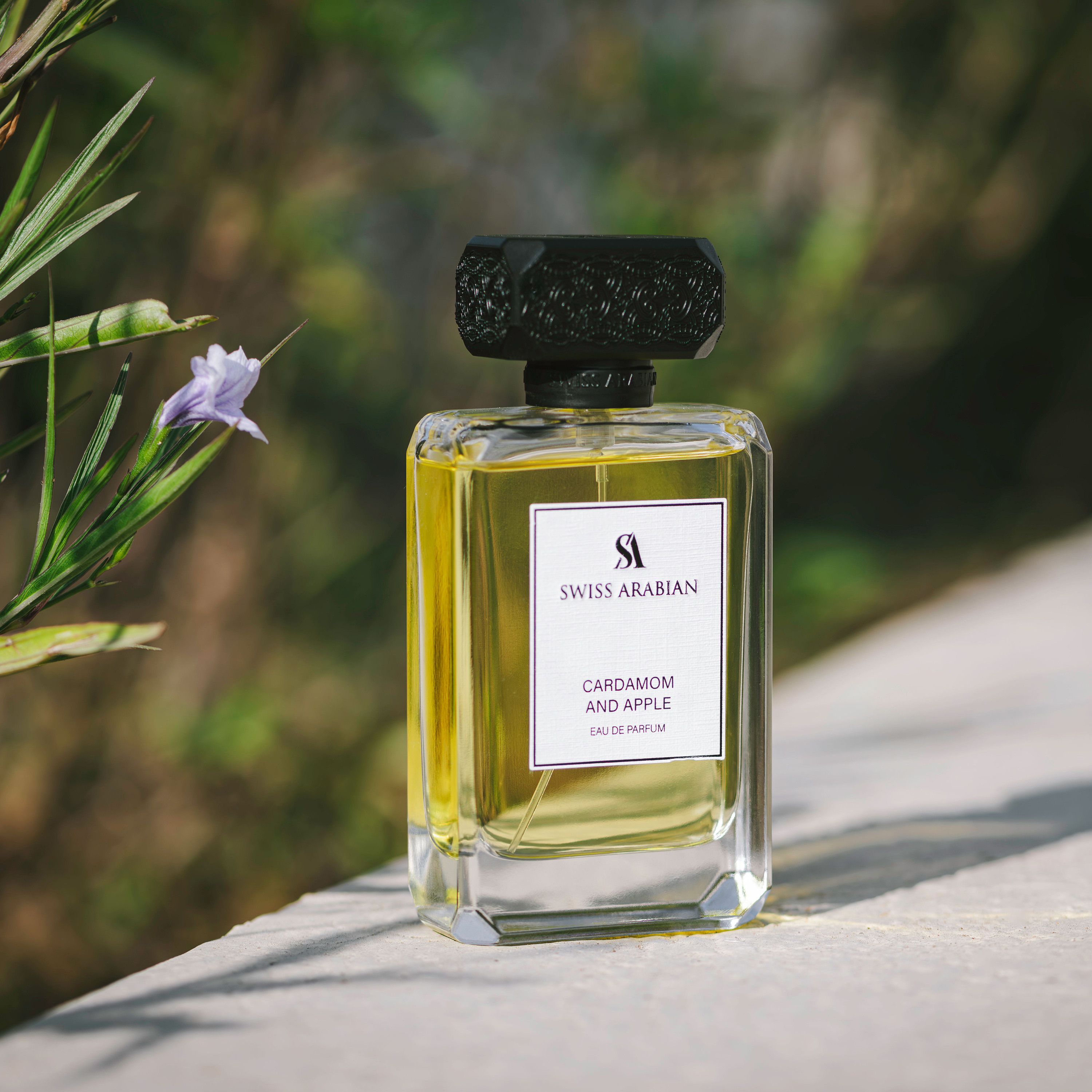 Swiss Arabian Cardamom and Apple Eau de Parfum for Men - 100 ml-beautyandpersonalcare-fragrance-men-image-4