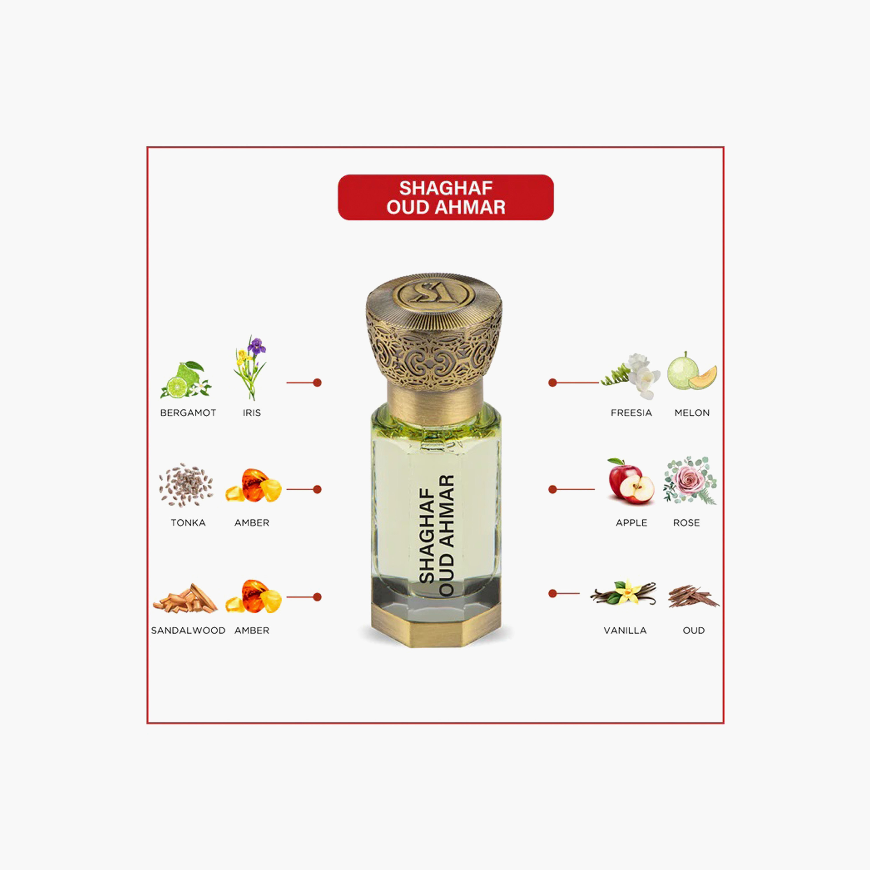 Swiss Arabian Shaghaf Oud Ahmar Perfume Oil - 12 ml-beautyandpersonalcare-fragrance-unisex-image-3