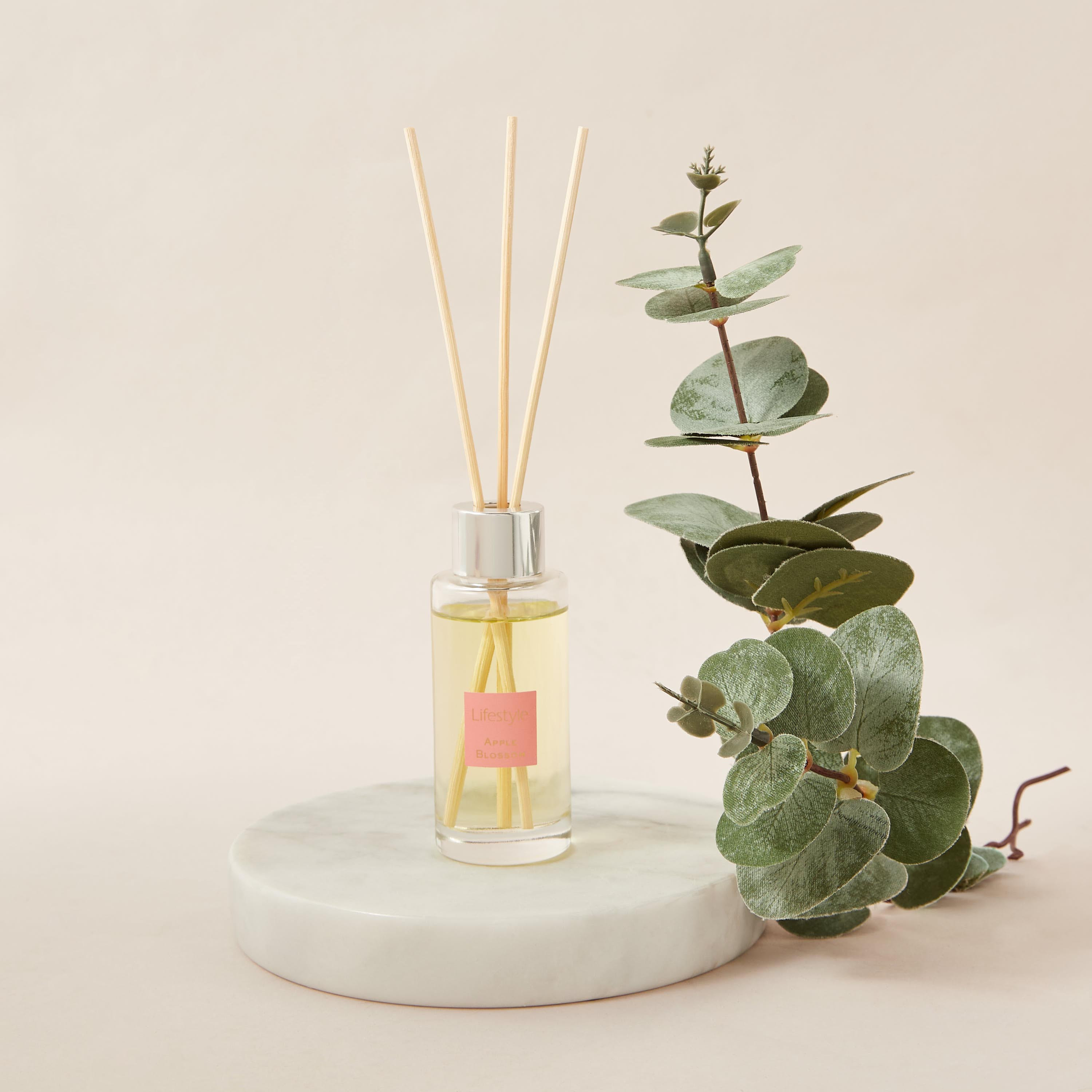 Fresh Cotton Reed Diffuser - 40 ml-household-homefragrance-reeddiffusers-image-1