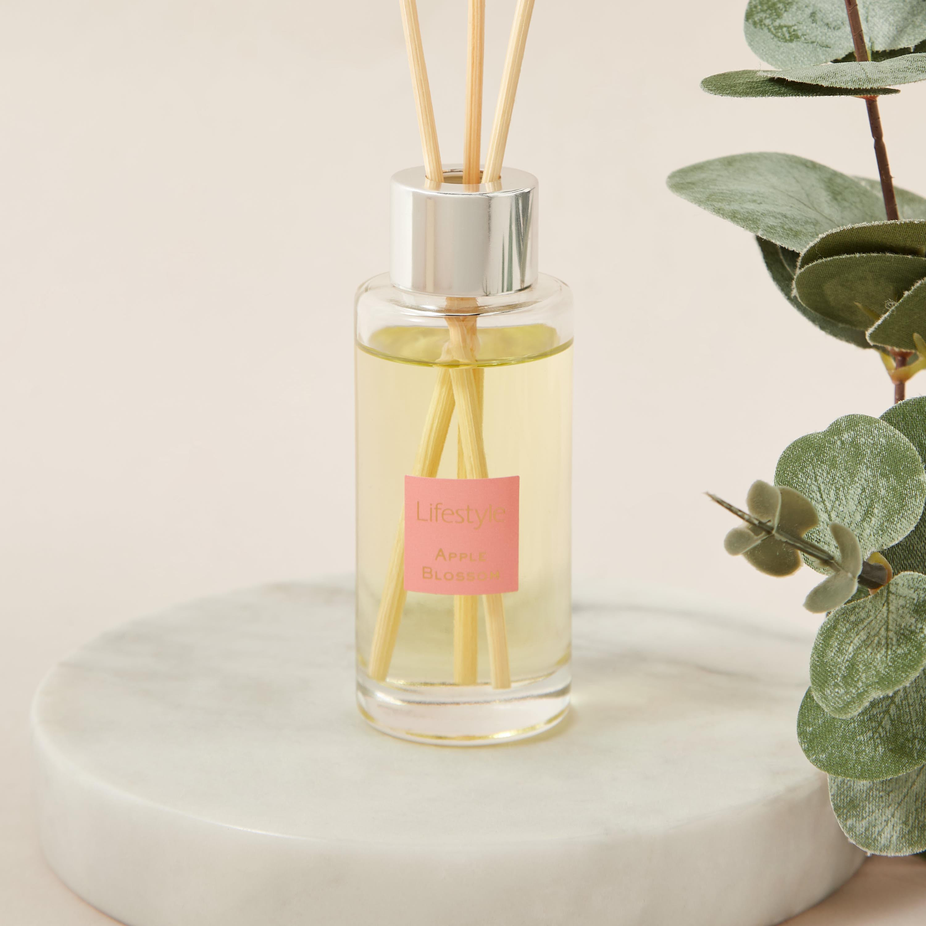 Fresh Cotton Reed Diffuser - 40 ml-household-homefragrance-reeddiffusers-image-2