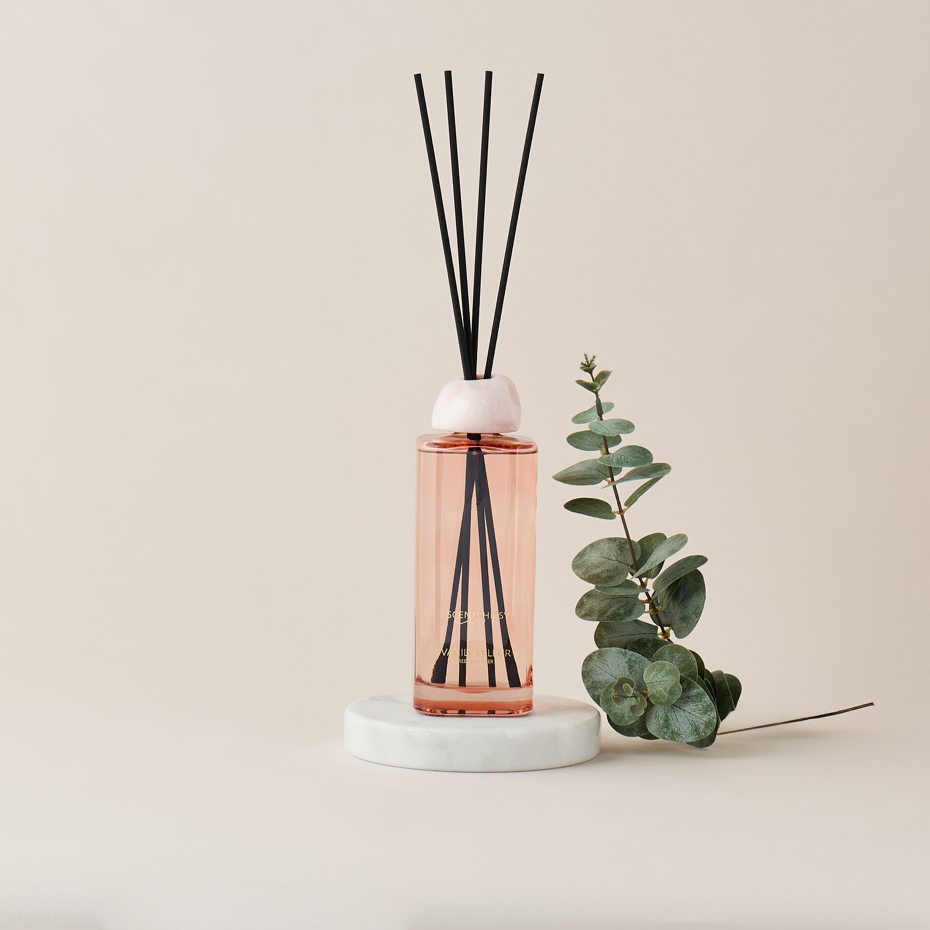 Scent.d London Sweet Vanilla Reed Diffuser - 500 ml-household-homefragrance-reeddiffusers-image-1