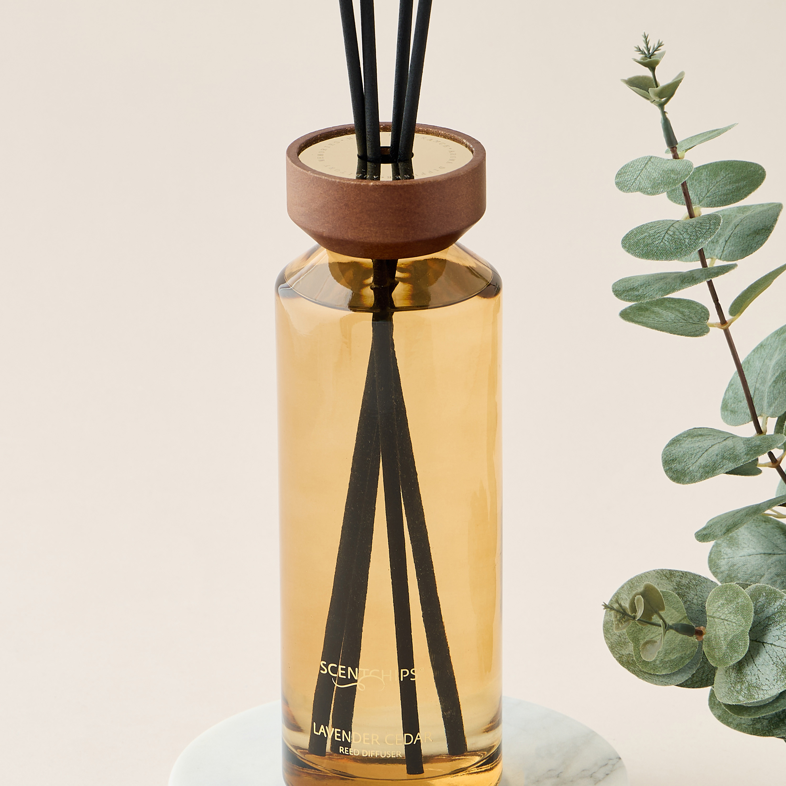 Scent.d London Sweet Vanilla Reed Diffuser - 500 ml-household-homefragrance-reeddiffusers-image-2