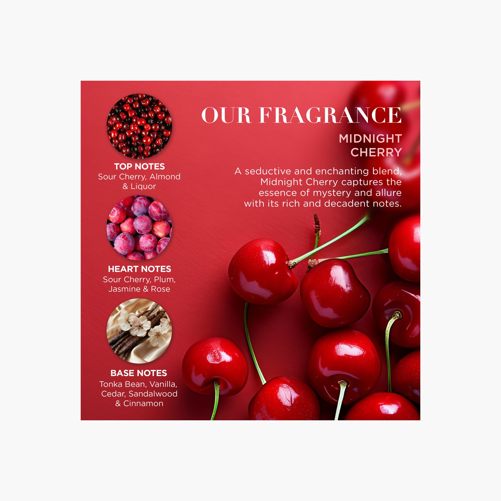 Baylis & Harding Midnight Cherry Luxury Travel Wash Bag-beautyandpersonalcare-giftsets-image-5