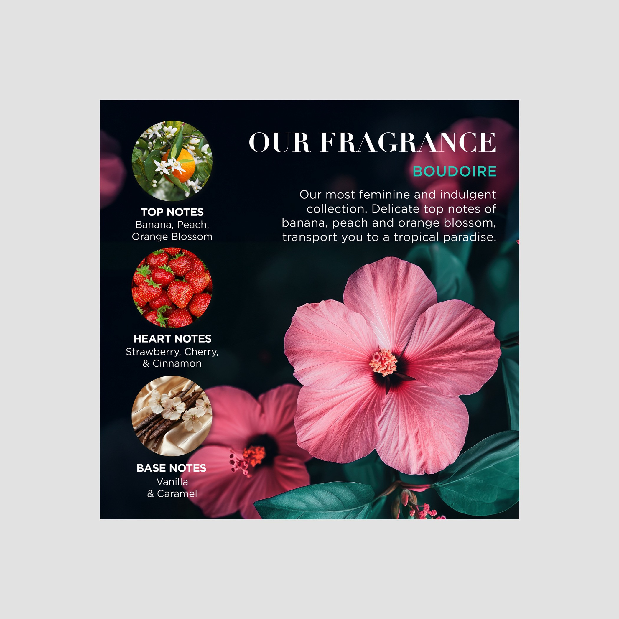 مجموعة العناية باليدين تروبيكال بارادايس بايلس أند هاردينج-beautyandpersonalcare-bathandbody-giftsets-image-5