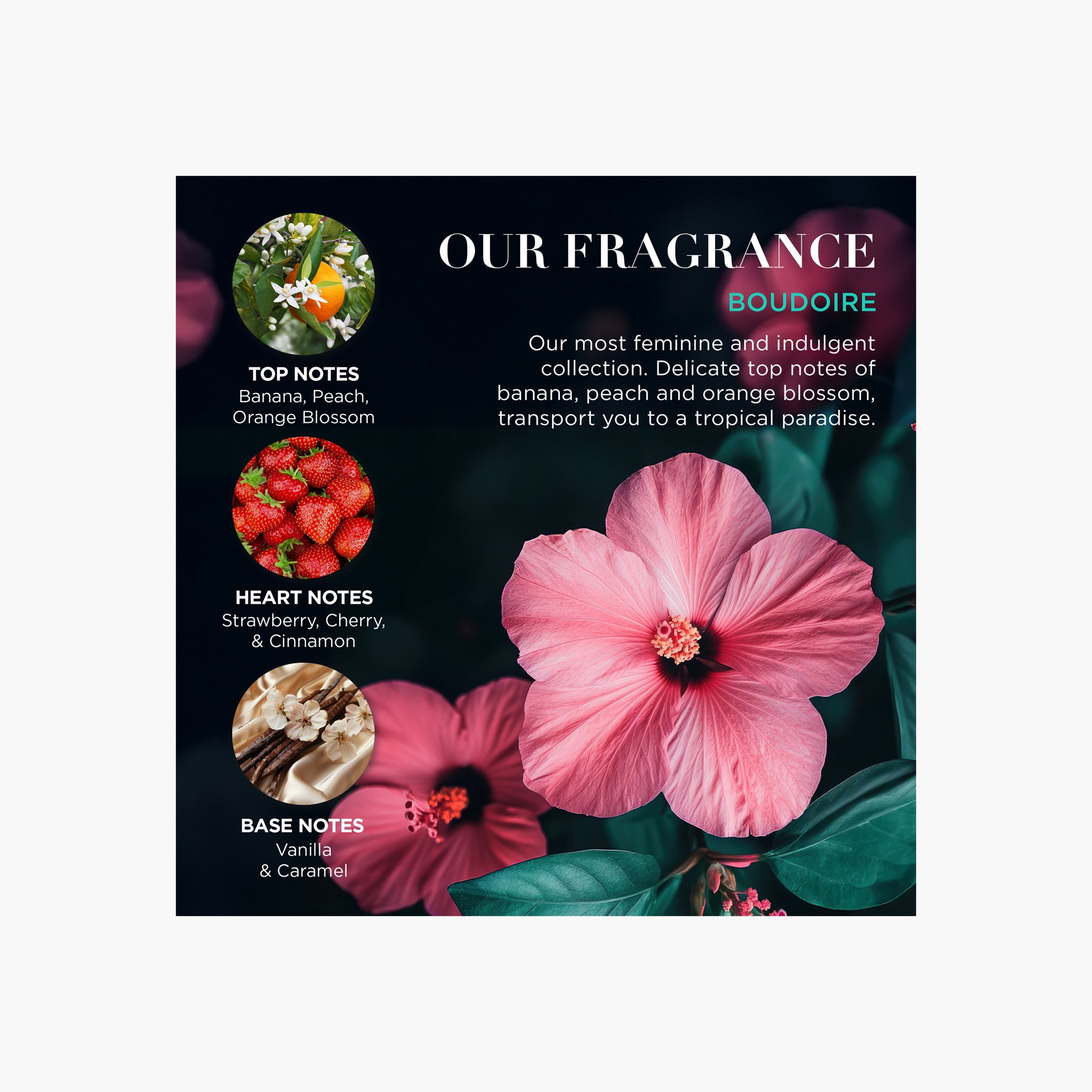 Baylis & Harding Tropical Paradise Discovery Set-beautyandpersonalcare-bathandbody-giftsets-image-5