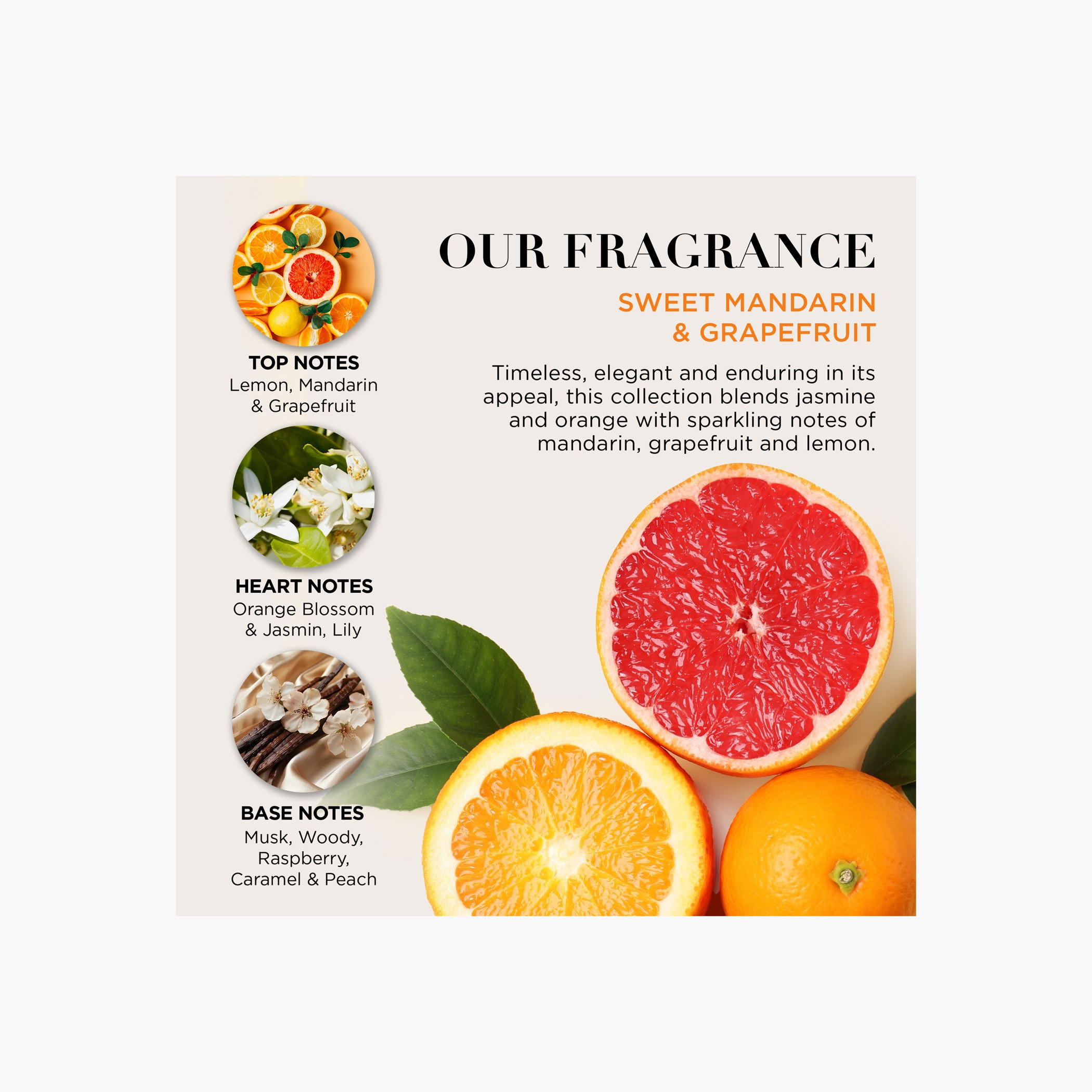 Baylis & Harding Candlelit Bathing Gift Set-beautyandpersonalcare-giftsets-image-5