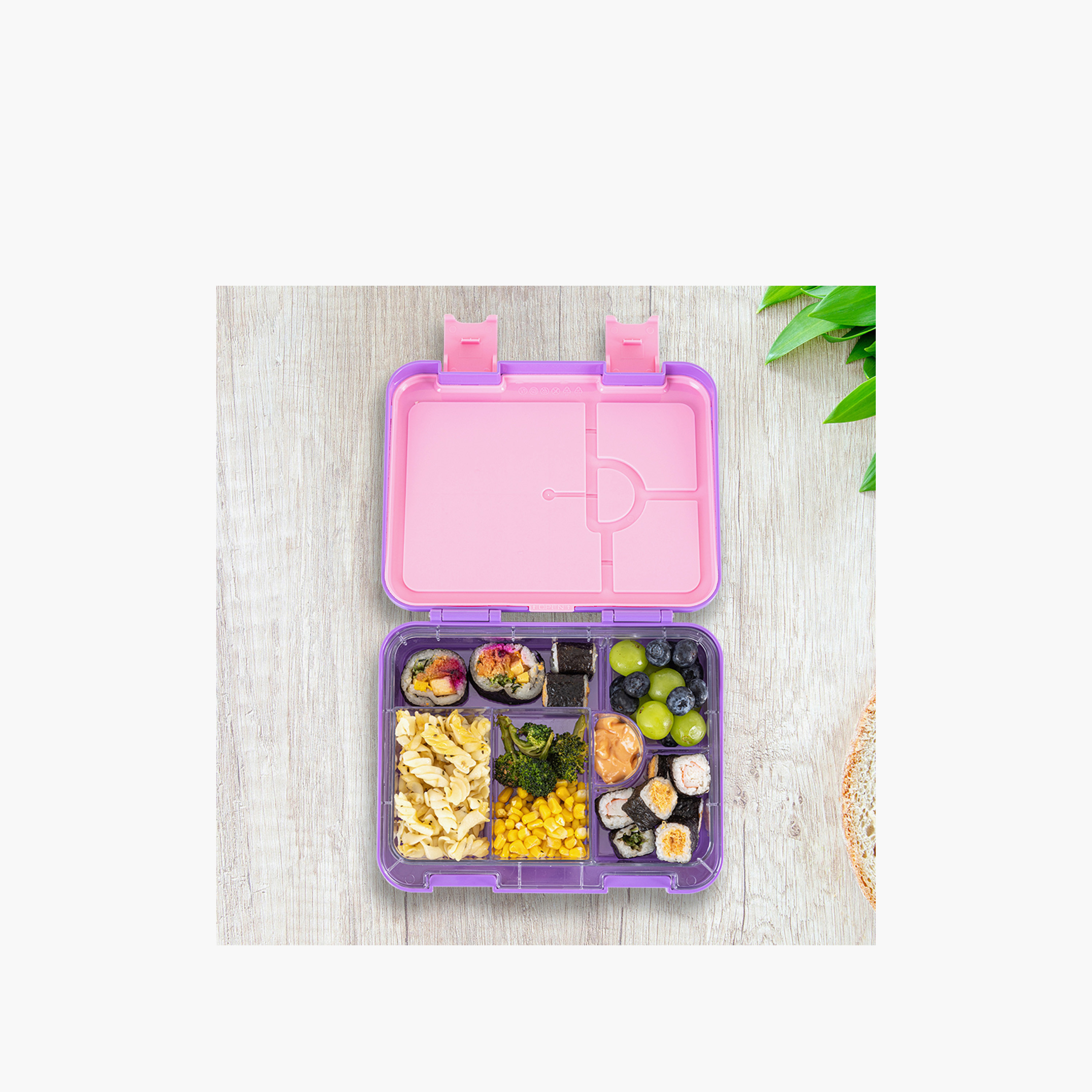 Eazy Kids Butterfly Print Bento Lunch Box for Kids with Convertible Compartments-school-lunchessentials-lunchboxes-image-3