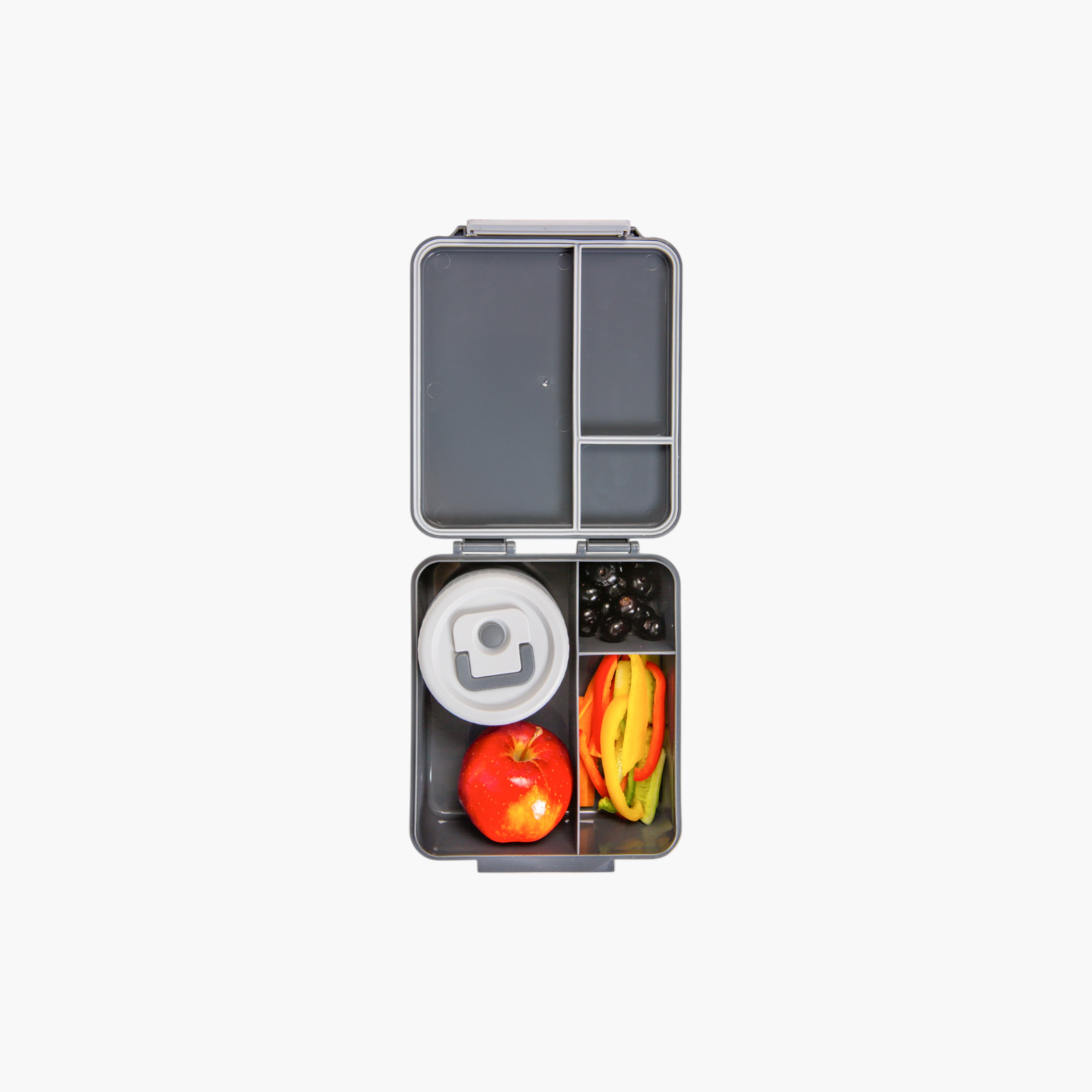 صندوق غداء بينتو بطبعات ديناصور مع جرة طعام فولاذ من هايدروبرو-school-lunchessentials-lunchboxes-image-11