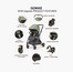 Gokke Stroller with One Touch Folding System, Aluminium Frame and Wheel Lock-baby-gear-strollersandprams-strollers-image-21