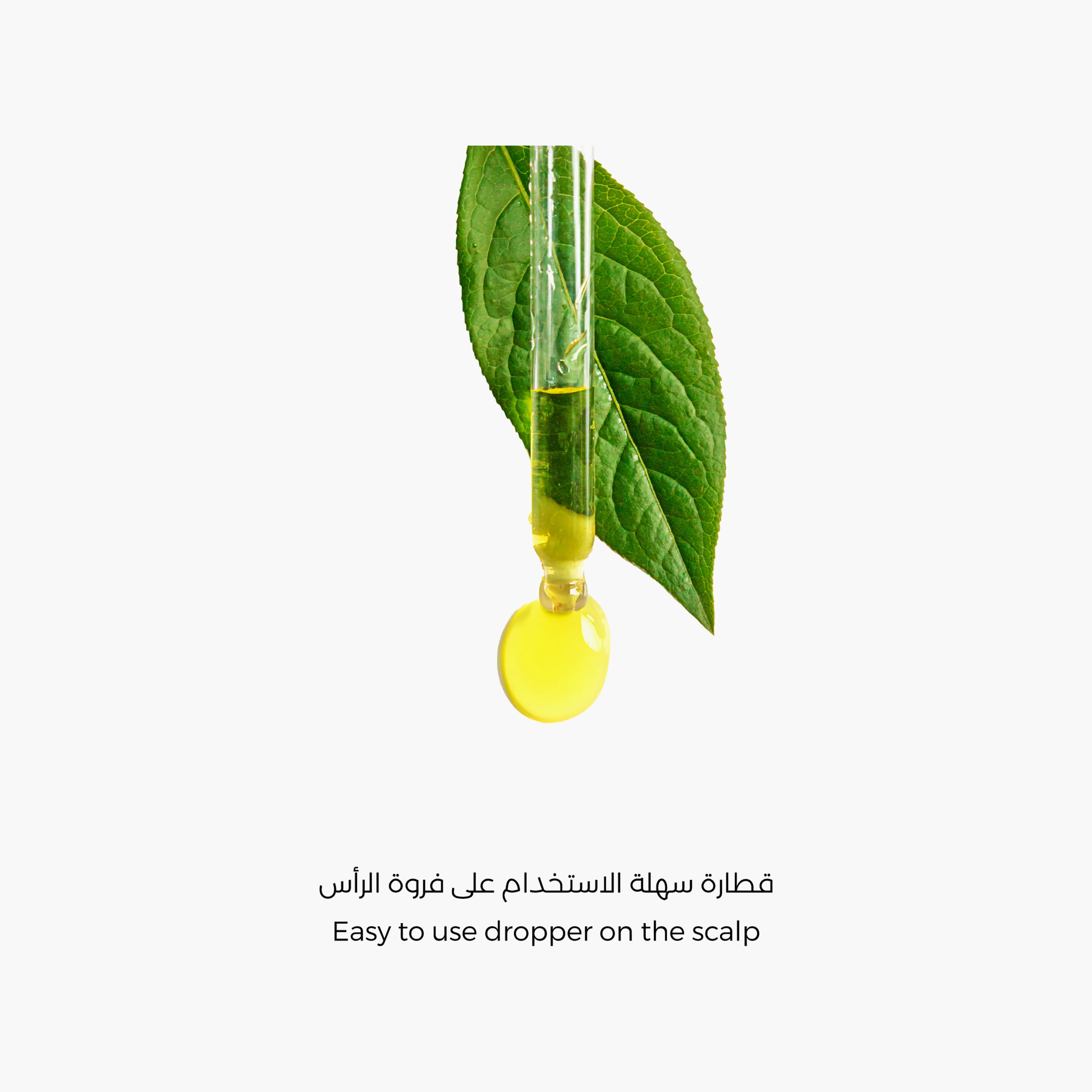 LaBelle Hair Oil Refreshing with Tea Tree Oil 60 ml-beautyandpersonalcare-hair-haircare-hairoils-image-4