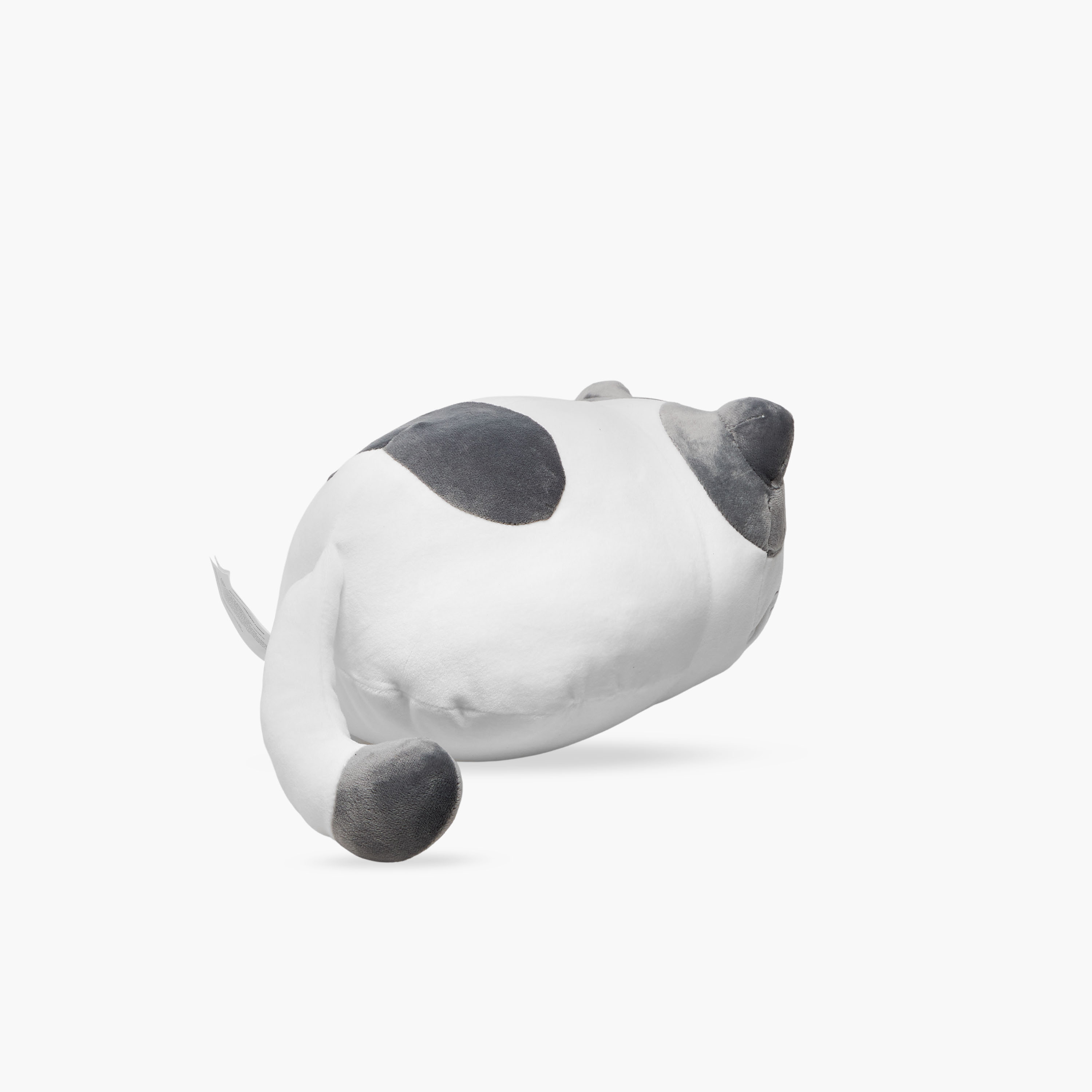 Juniors Cat Soft Toy-toys-plushsofttoys-animals-image-3