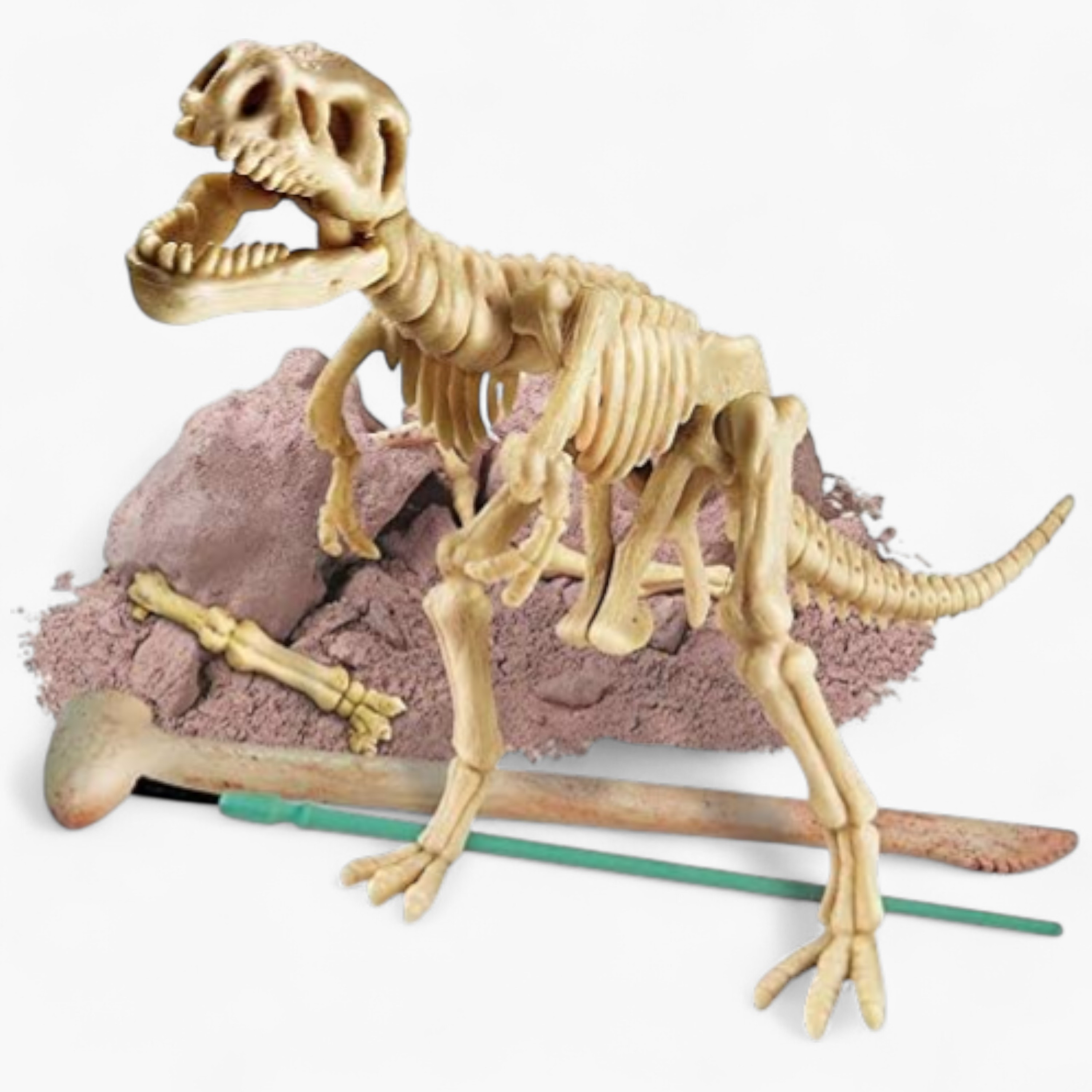 4M Tyrannosaurus Rex Skeleton Excavation STEAM Toy-toys-educational-stemtoys-image-1
