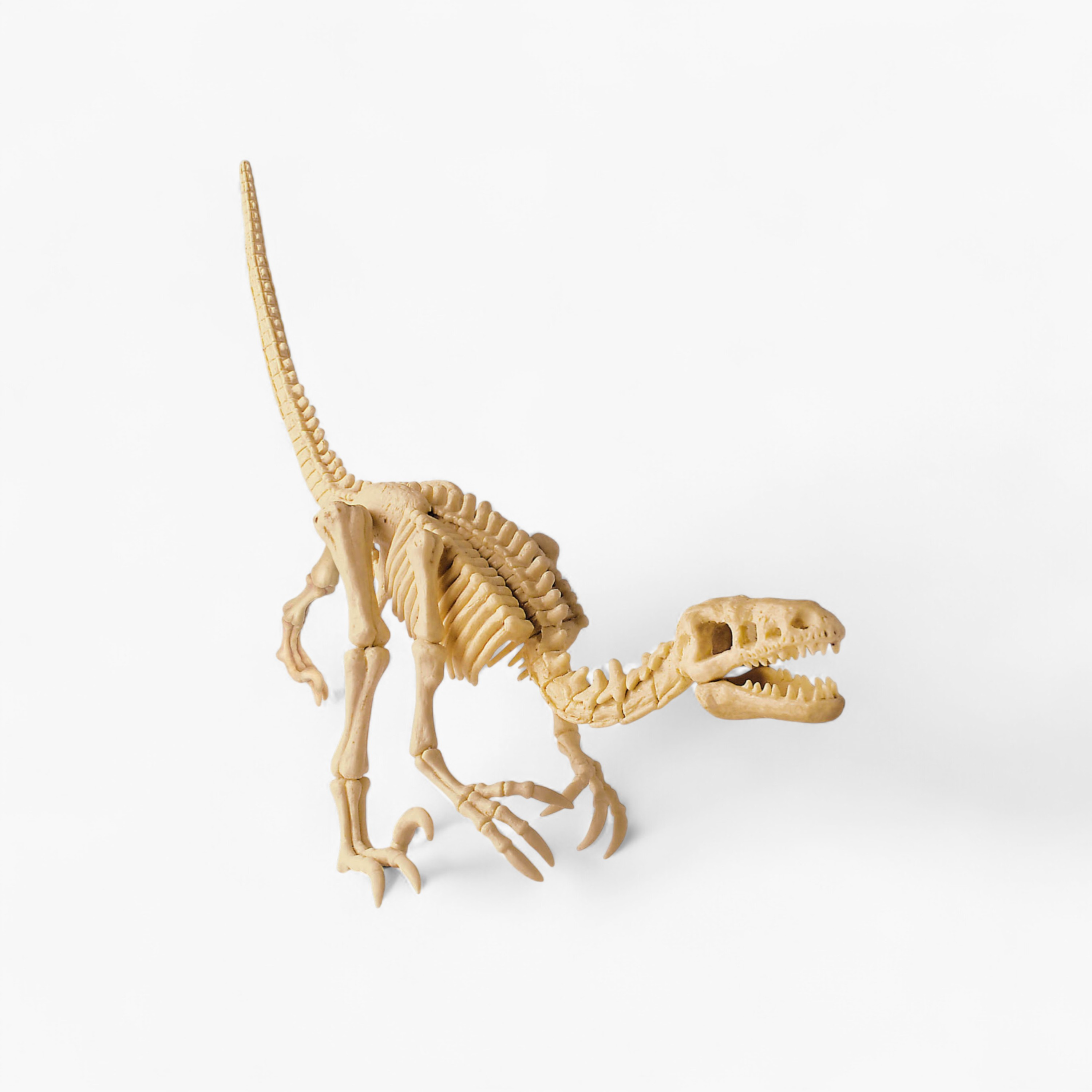 4M Velociraptor Skeleton Excavation Playset-toys-educational-stemtoys-image-1