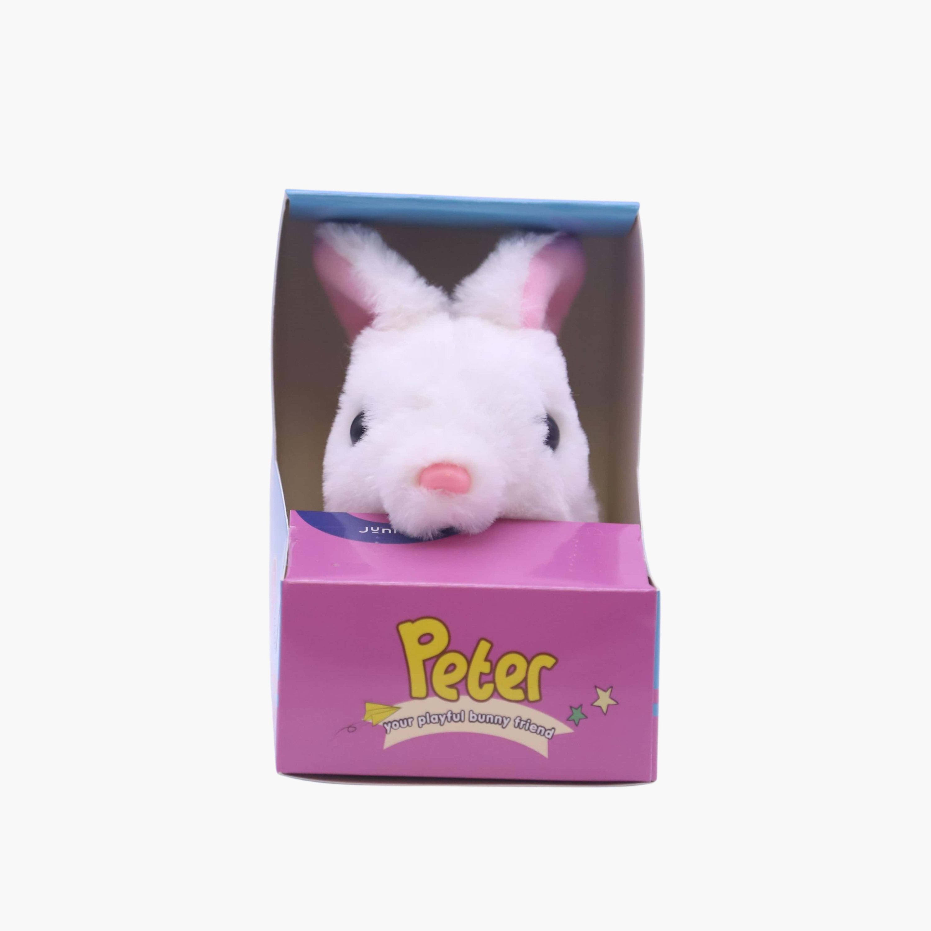 Juniors Electric Rabbit Plush Toy-toys-plushsofttoys-animals-image-2