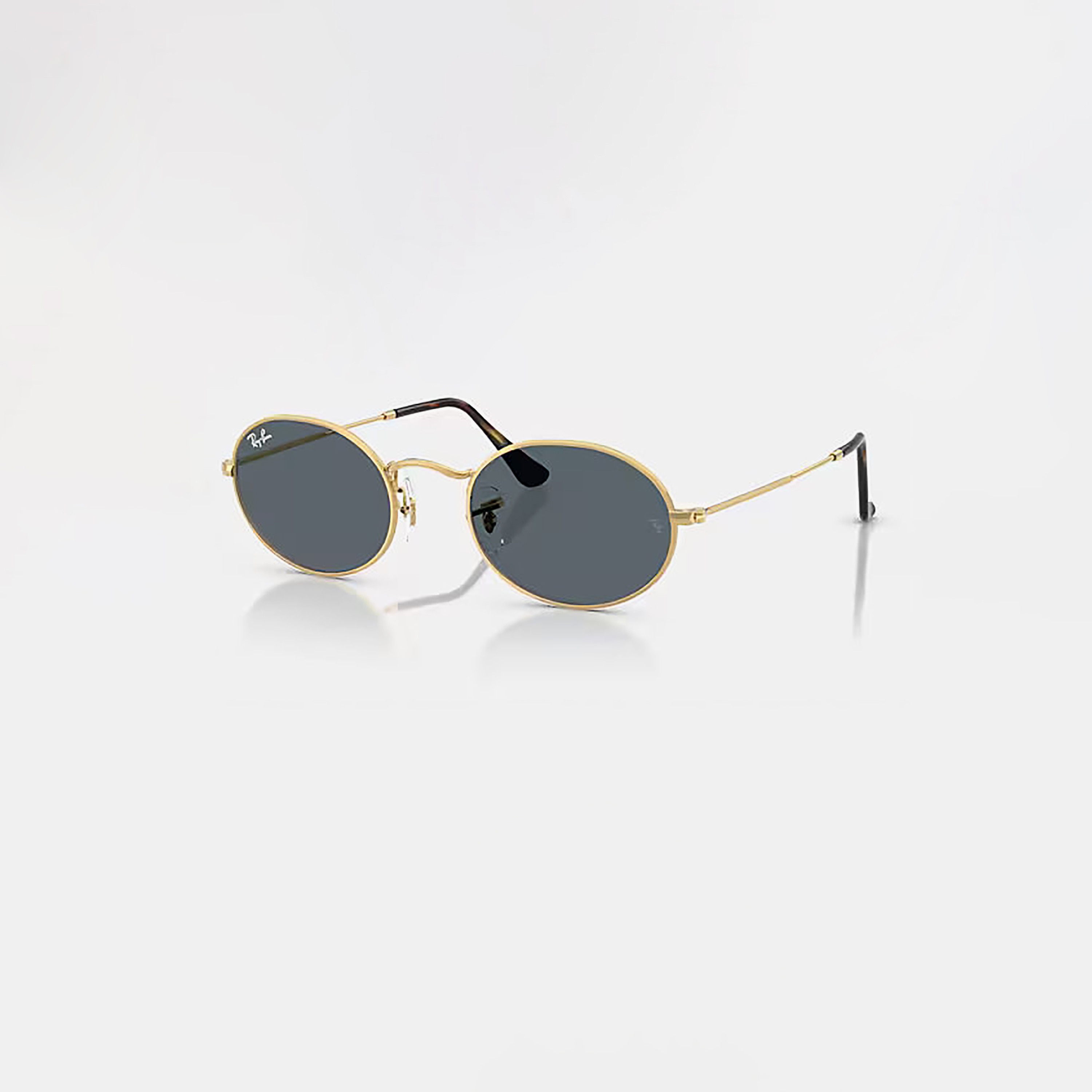Ray-Ban Unisex Round & Oval Blue Sunglasses | 111431030-men-sunglasses-image-1