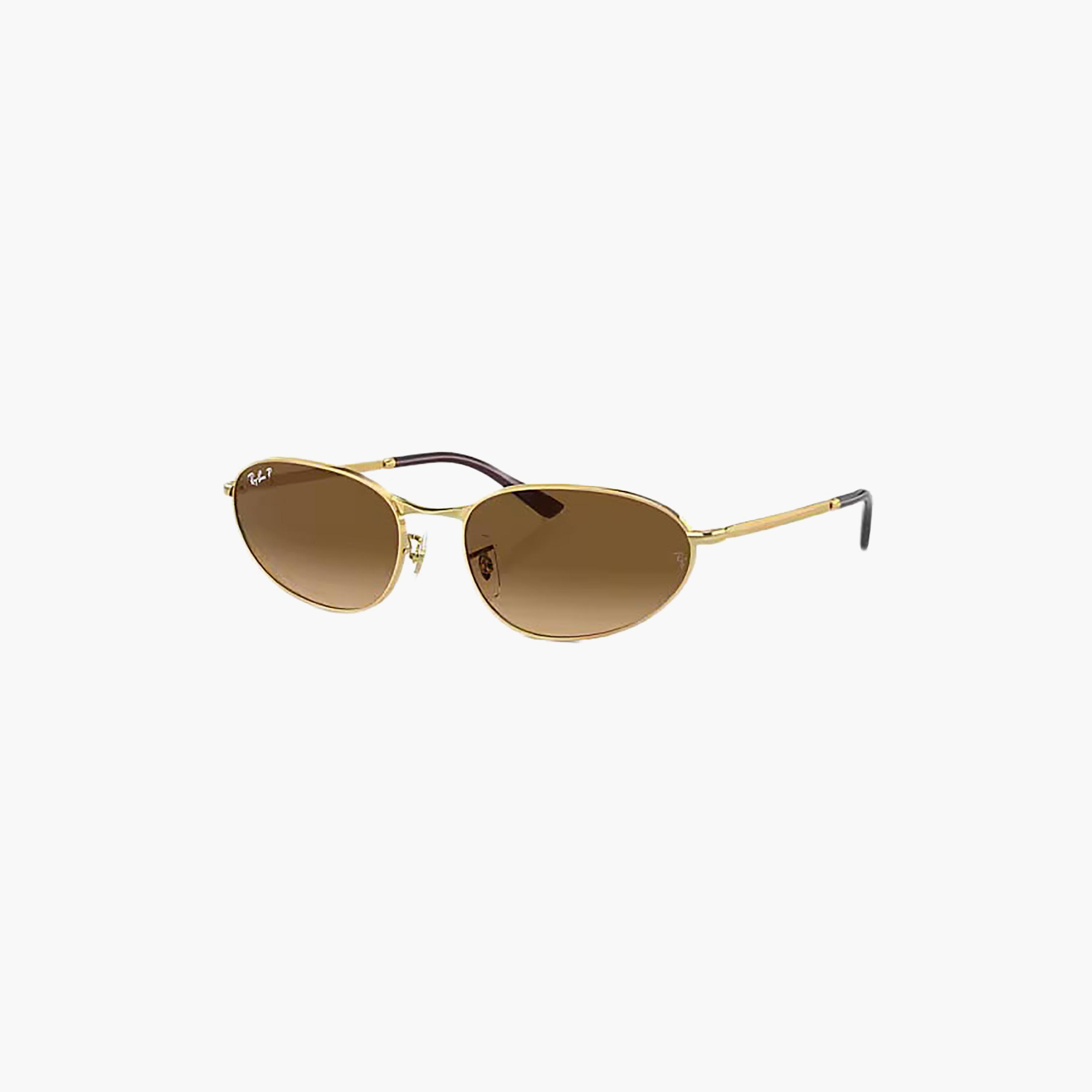 Ray-Ban Unisex Round & Oval Polarized Brown Sunglasses | 193735003-men-sunglasses-image-1