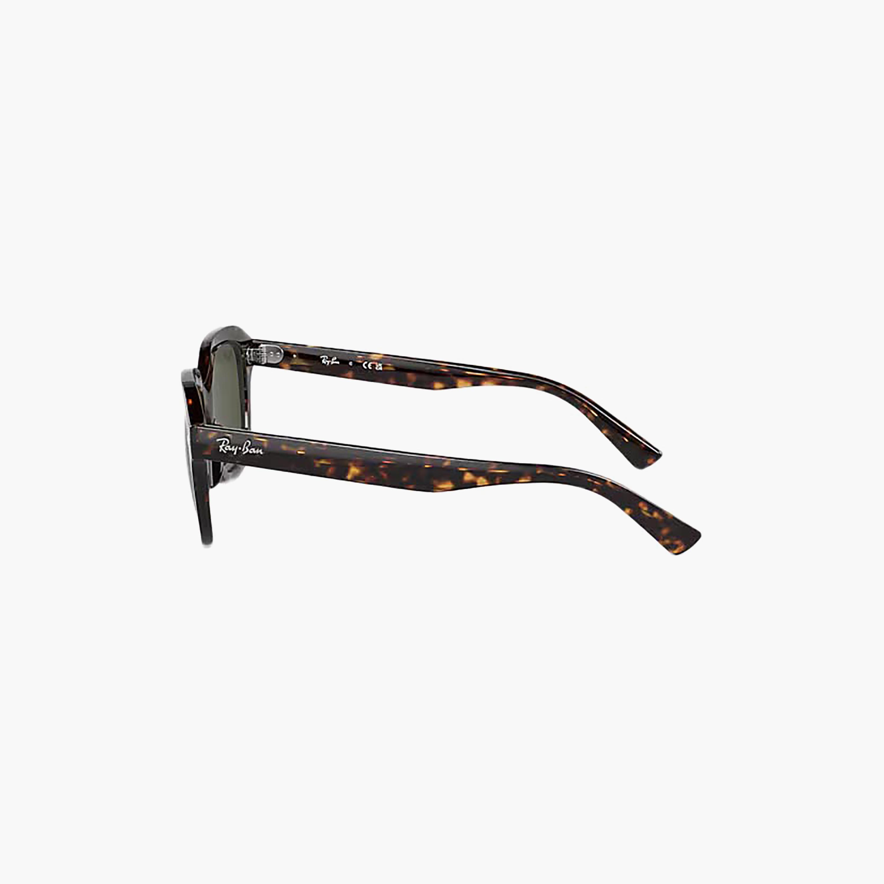 Ray-Ban Unisex Wayfarer & Square Green Sunglasses | 185835009-men-sunglasses-image-2