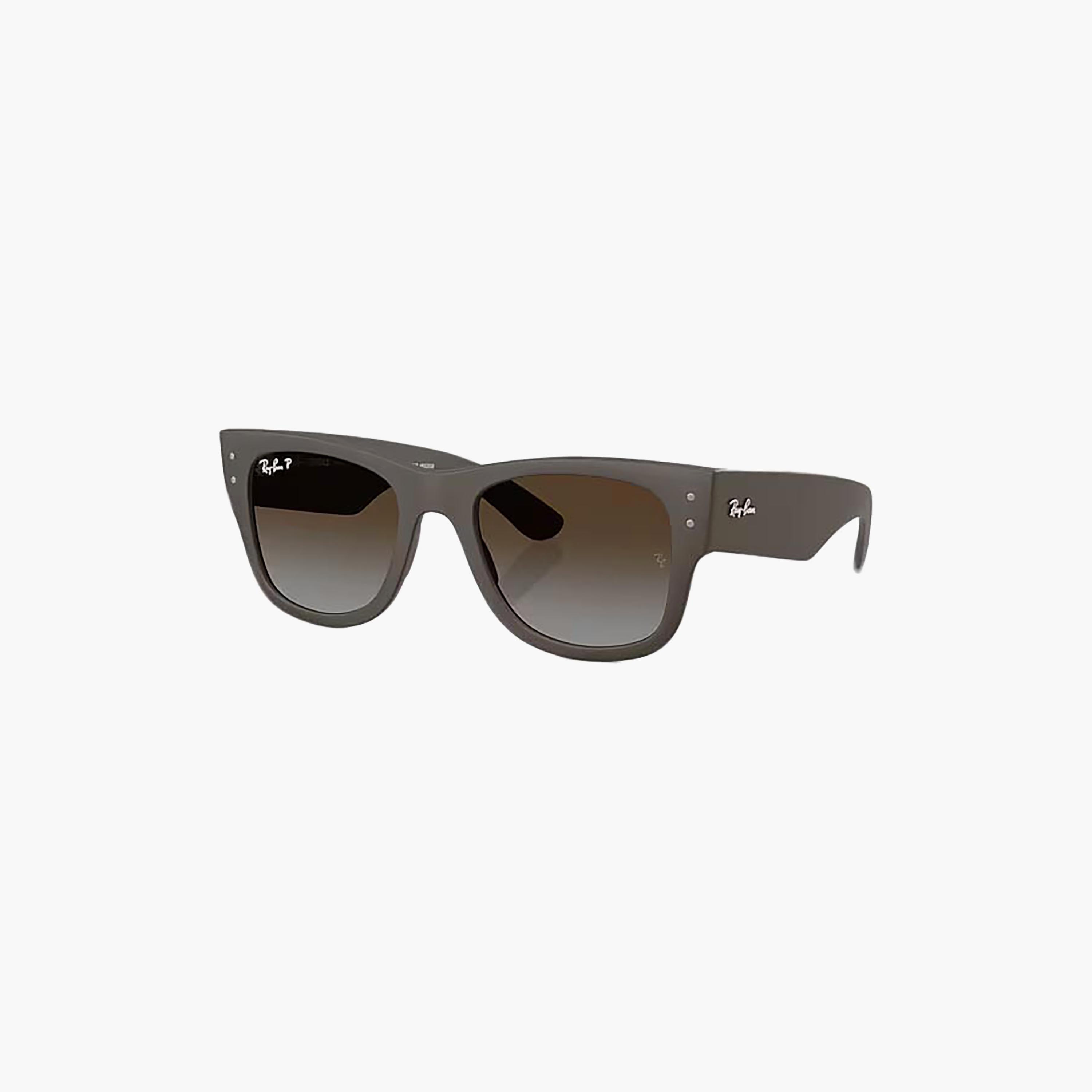 Ray-Ban Unisex Wayfarer & Square Brown Sunglasses | 198402008-men-sunglasses-image-1