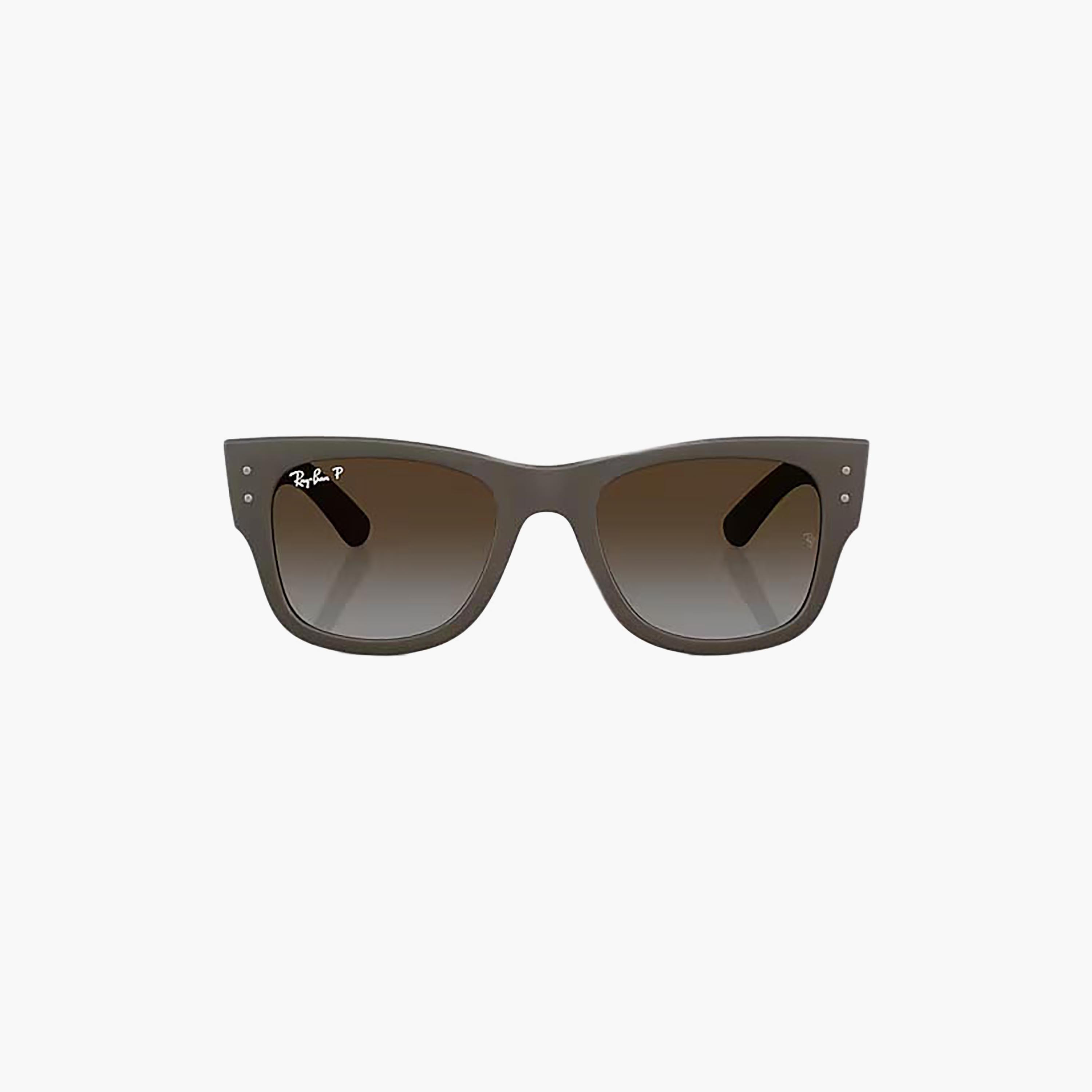 Ray-Ban Unisex Wayfarer & Square Brown Sunglasses | 198402008-men-sunglasses-image-4