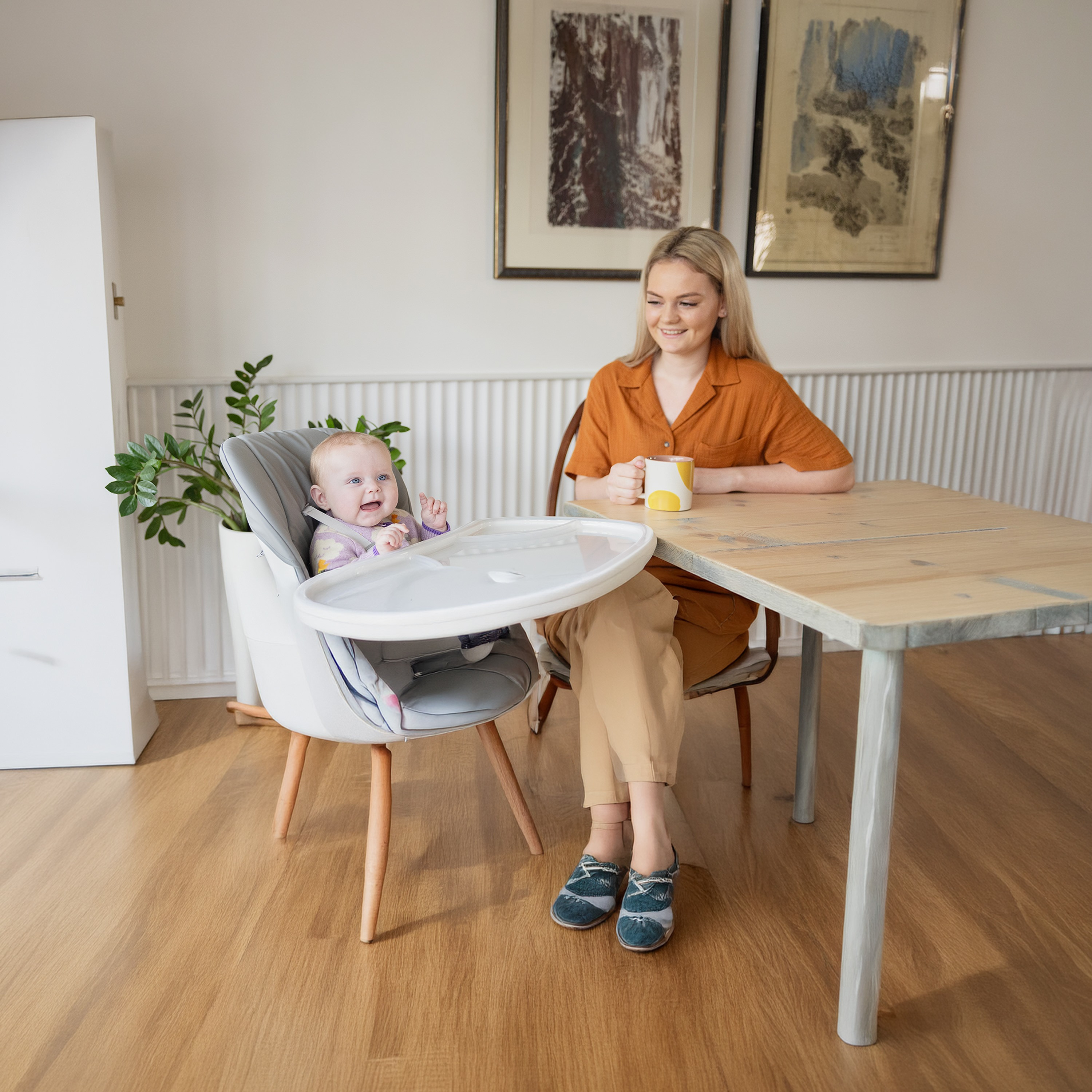 كرسي مرتفع ميمزي ريكلاين من جوي-baby-feeding-highchairsandboosters-image-9