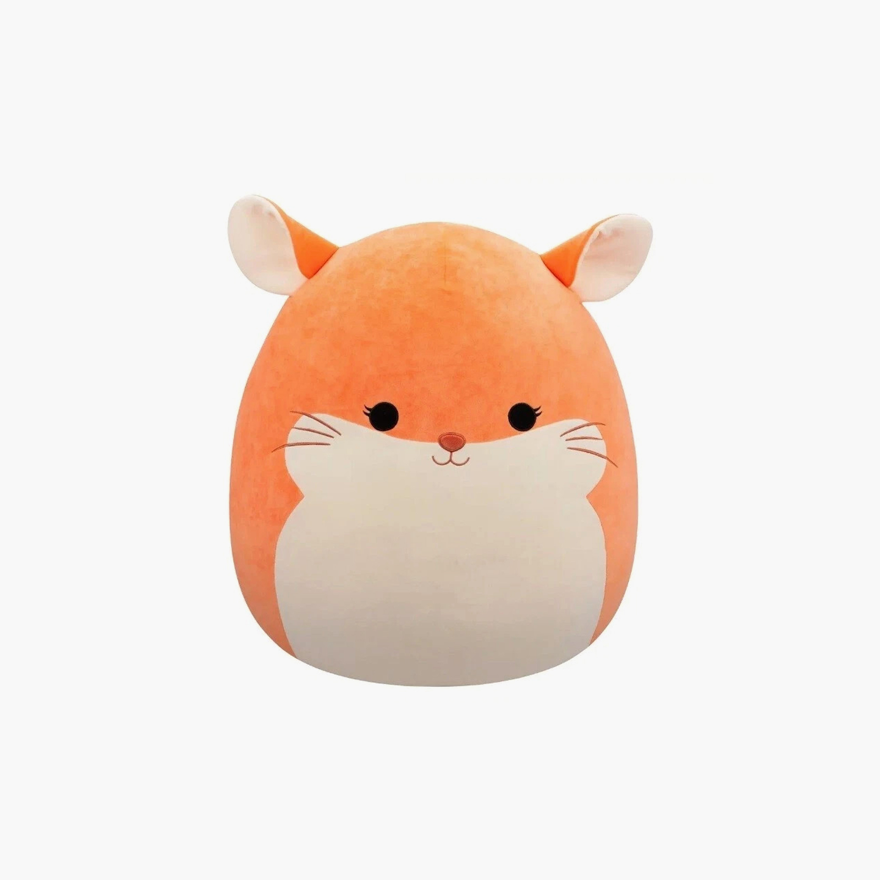 Squishmallows Cat Plush Toy-toys-plushsofttoys-animals-image-1