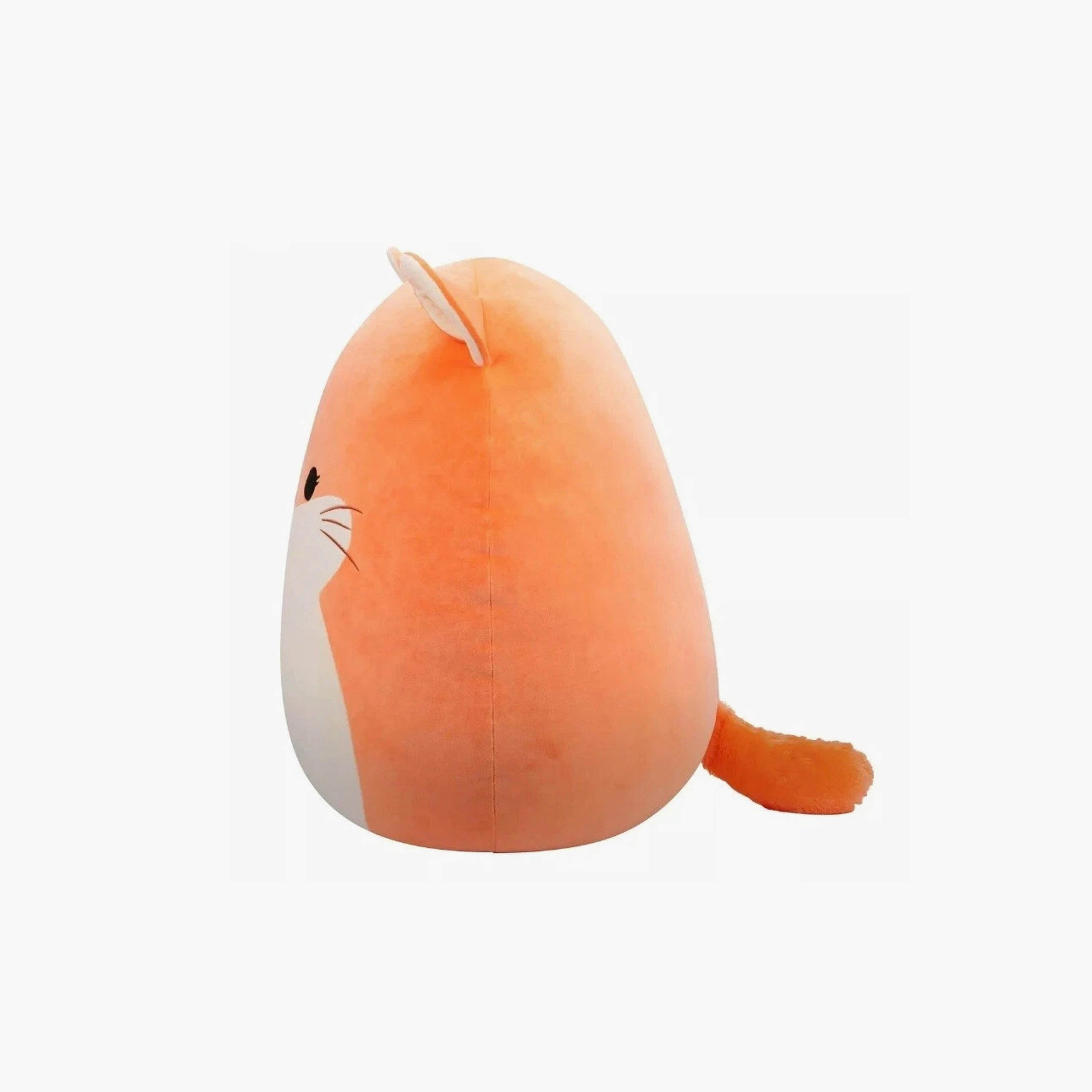 Squishmallows Cat Plush Toy-toys-plushsofttoys-animals-image-2