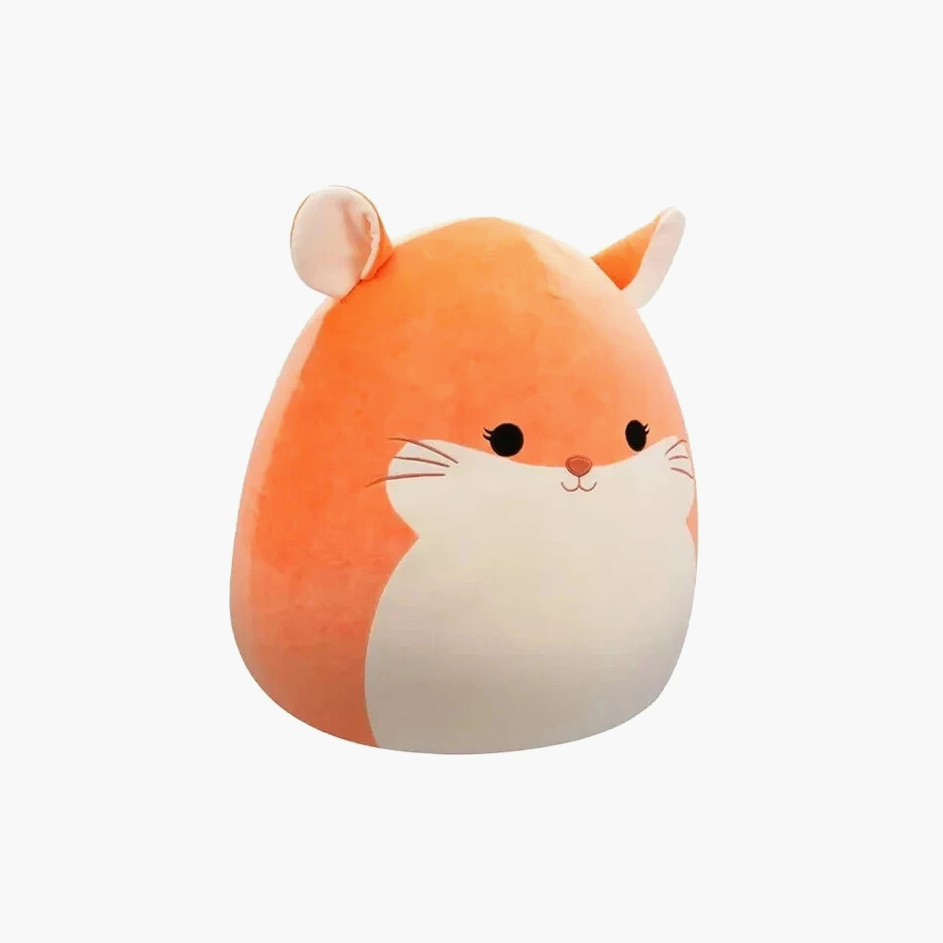 Squishmallows Cat Plush Toy-toys-plushsofttoys-animals-image-3