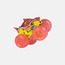Spin Master Monster Jam Megalodon Vehicle 1:64-toys-playvehicles-cars-image-2