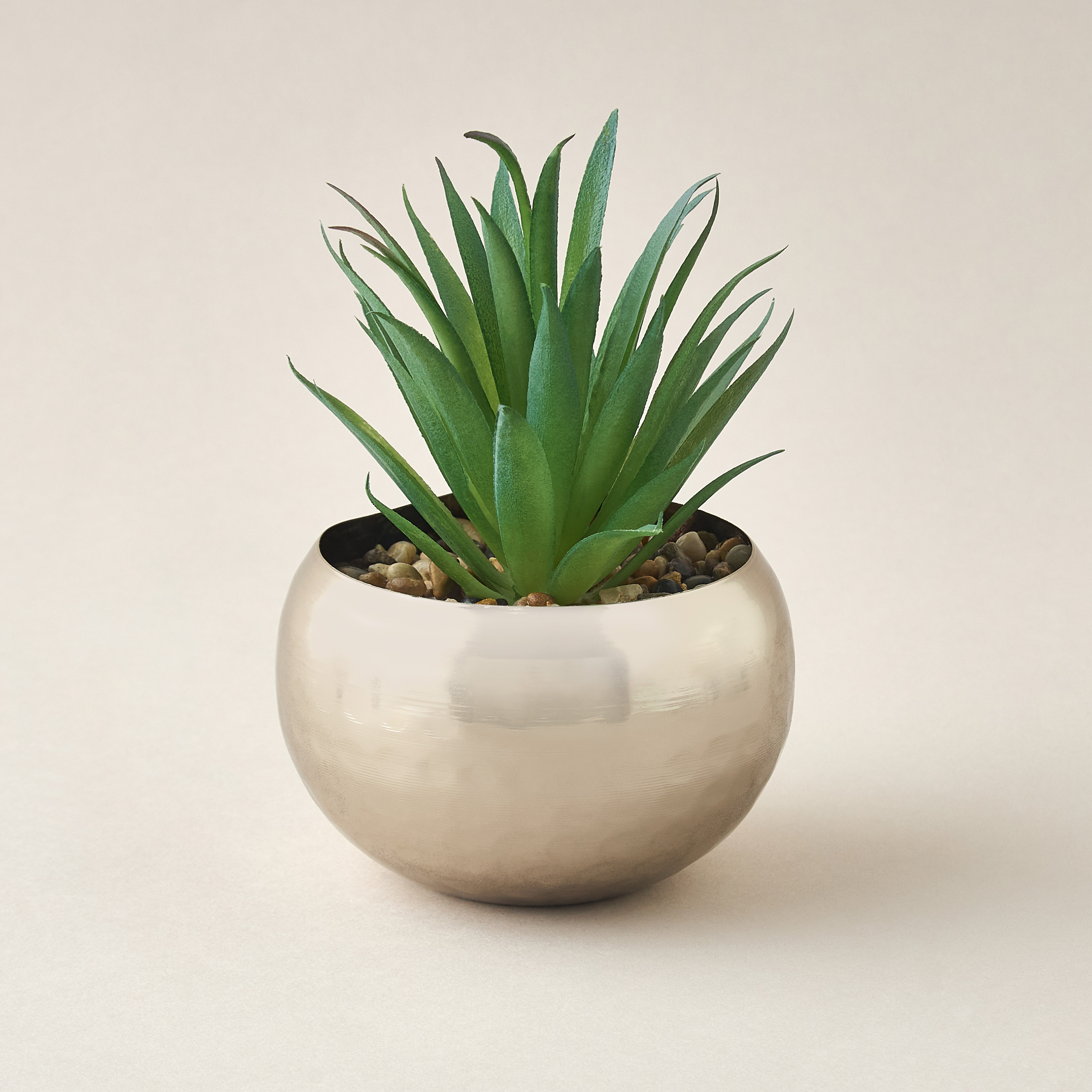 Decorative Plant with Pot - 10x21 cms-household-gardenandoutdoor-artificialplants-succulents-image-1