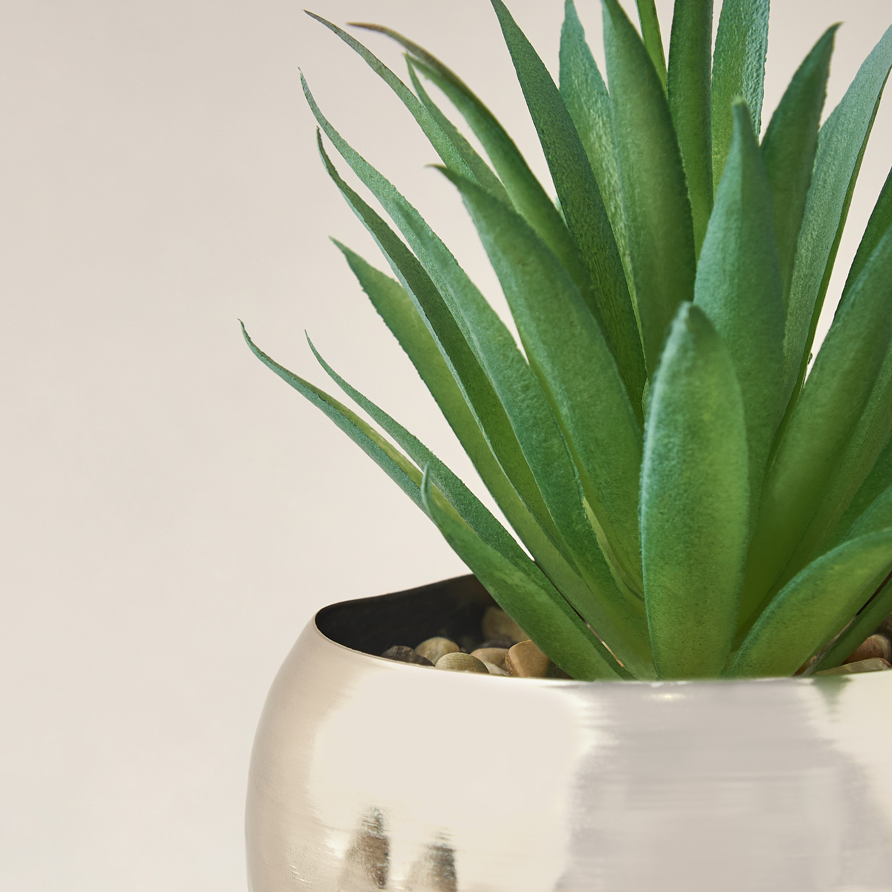 Decorative Plant with Pot - 10x21 cms-household-gardenandoutdoor-artificialplants-succulents-image-2