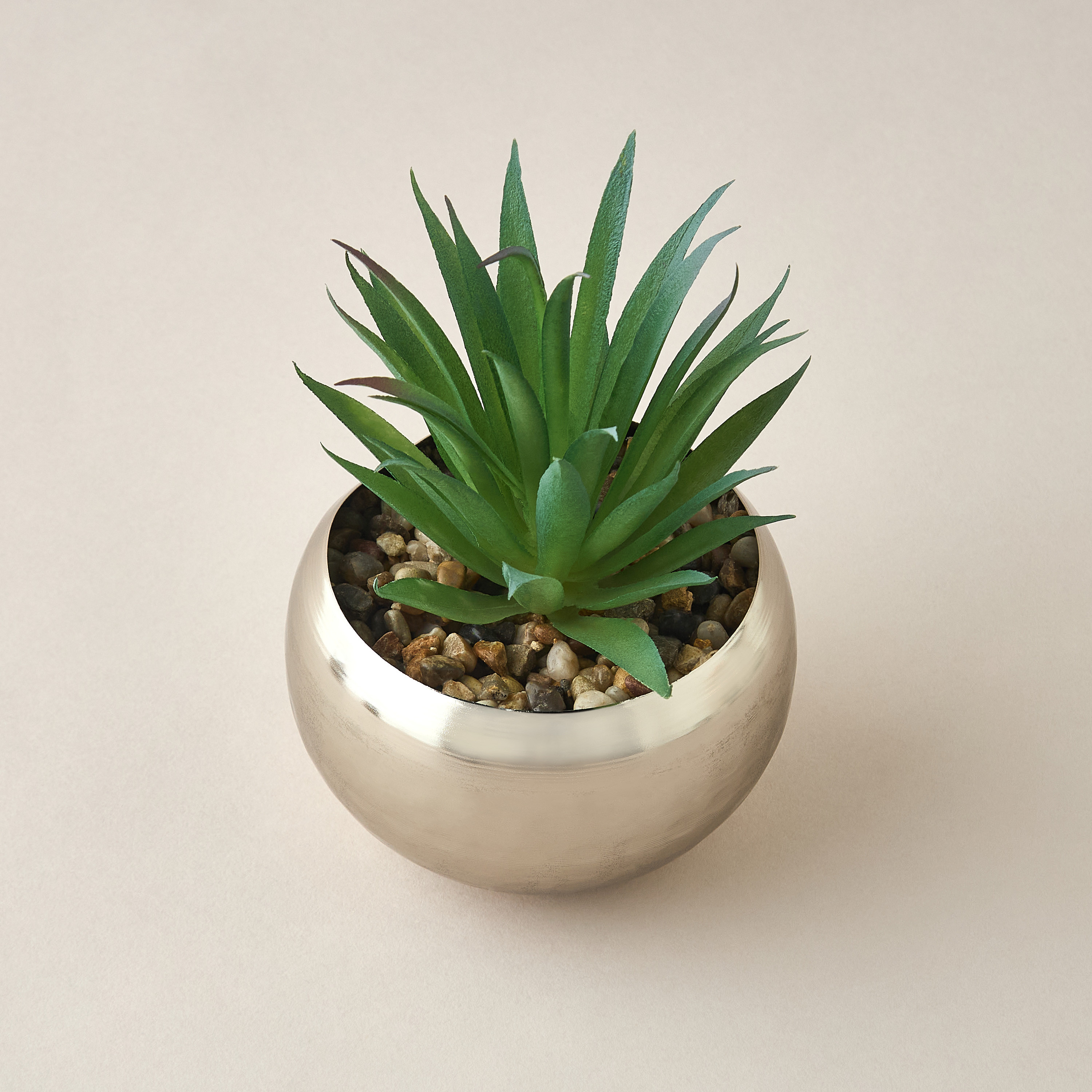 Decorative Plant with Pot - 10x21 cms-household-gardenandoutdoor-artificialplants-succulents-image-3