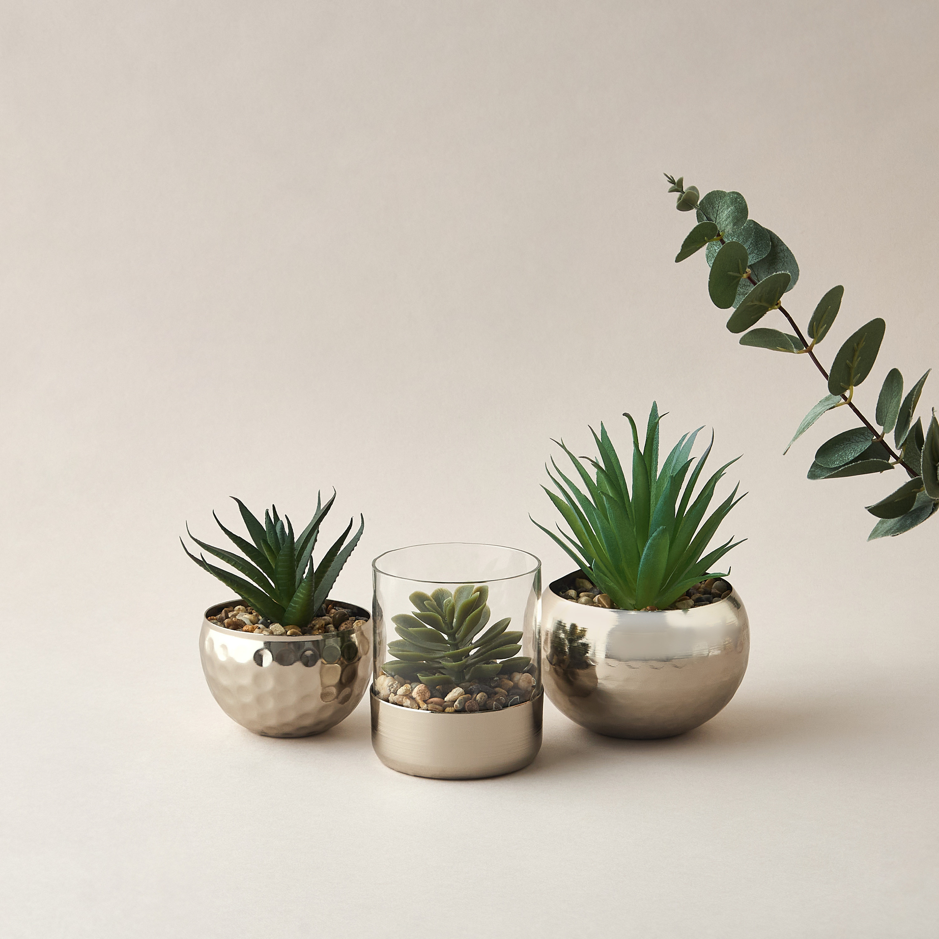 Decorative Plant with Pot - 10x21 cms-household-gardenandoutdoor-artificialplants-succulents-image-4