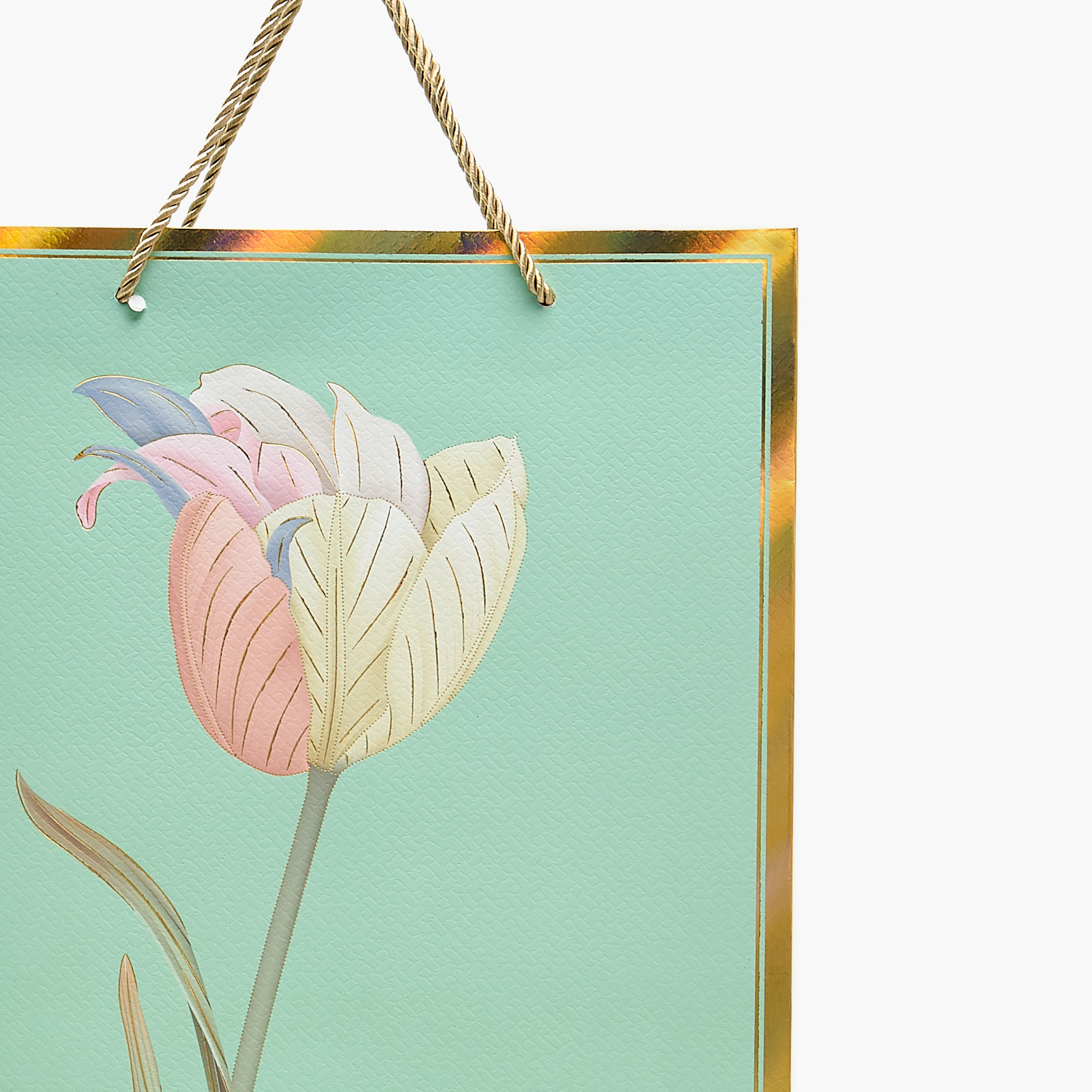 Floral Print Paper Gift Bag - Medium-household-giftingaccessories-giftings-image-3