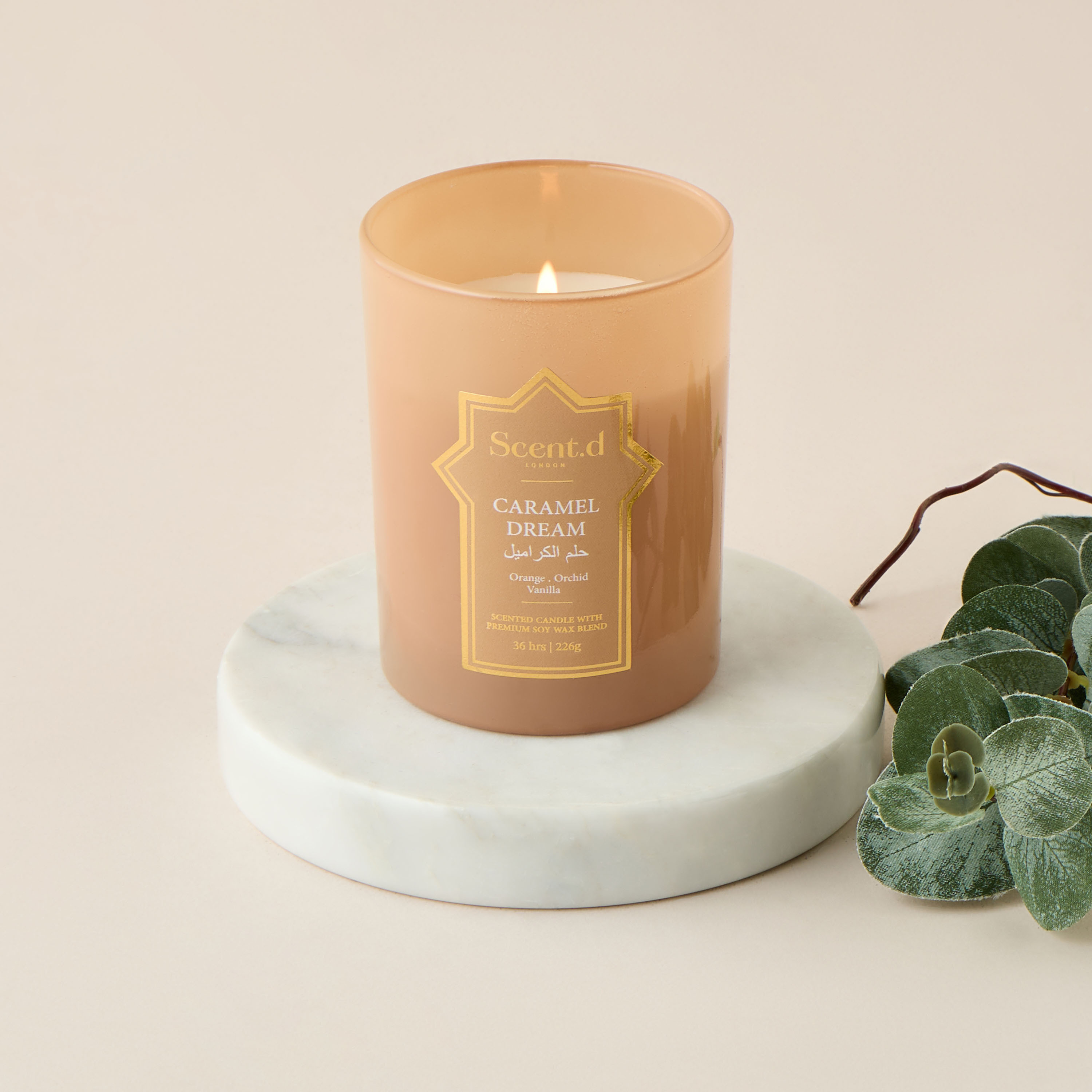 Scent.d London Celestial Breeze Scented Jar Candle - 226 gms-household-homefragrance-candles-image-4