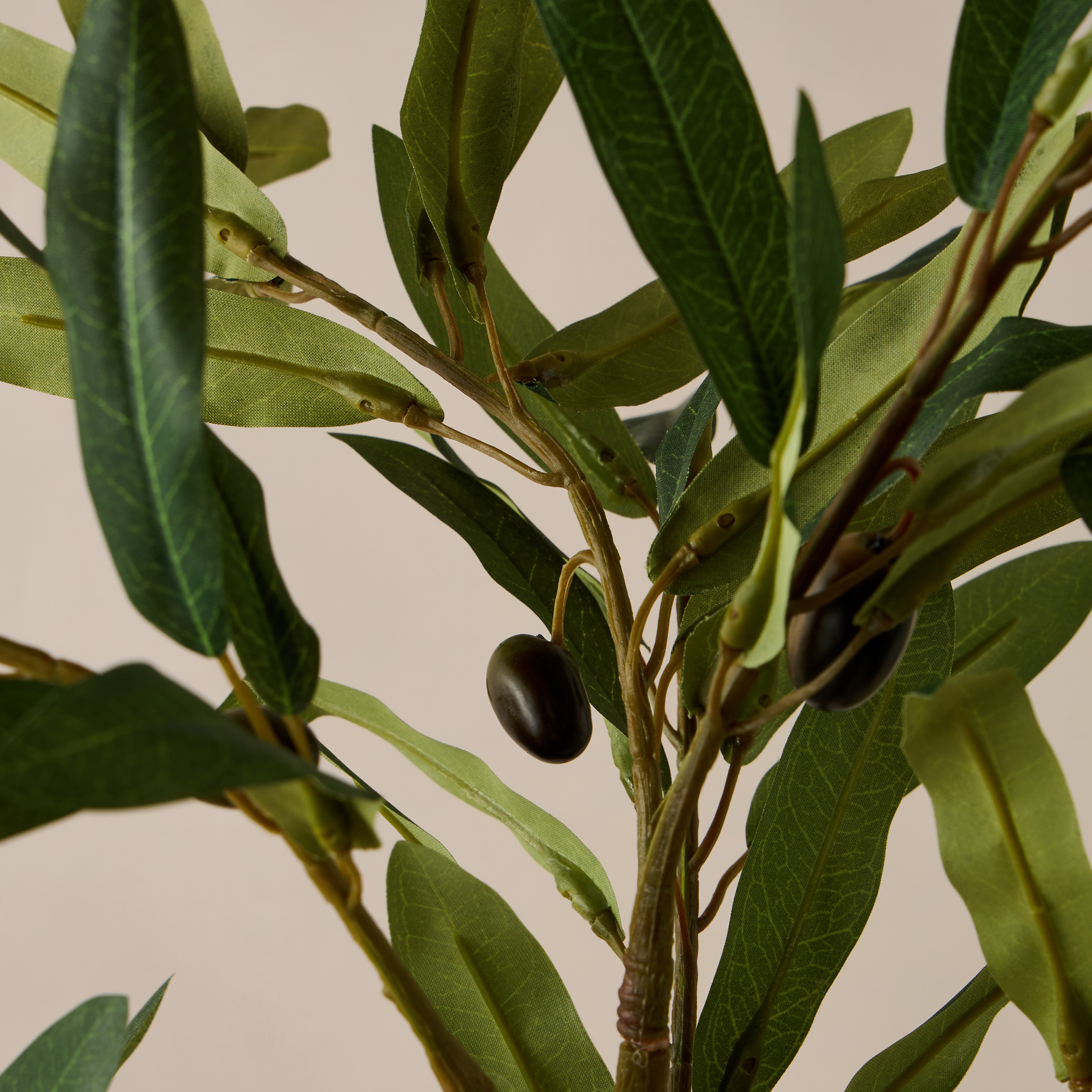 Decorative Potted Olive Tree - 12 cms-household-gardenandoutdoor-artificialplants-pottedplants-image-2
