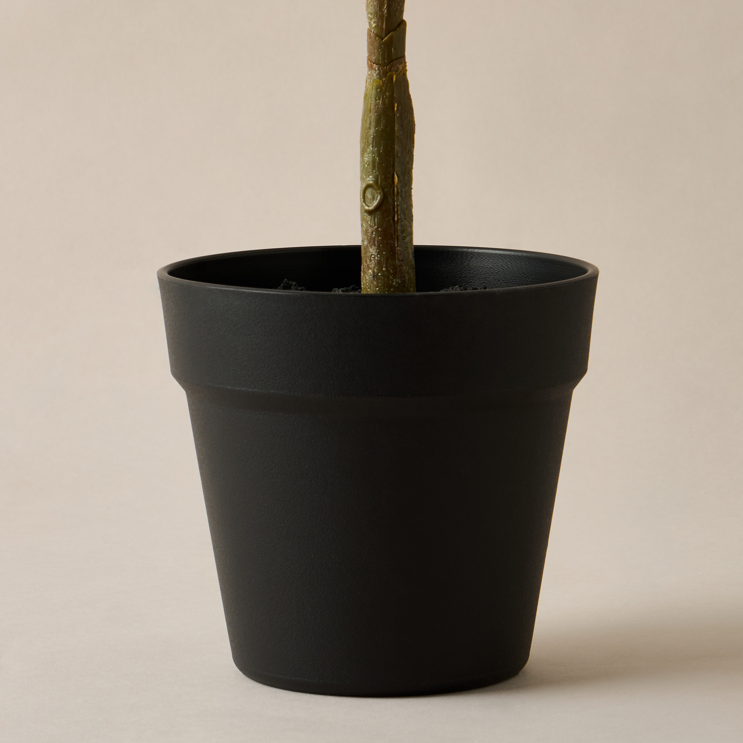 Decorative Potted Olive Tree - 12 cms-household-gardenandoutdoor-artificialplants-pottedplants-image-4