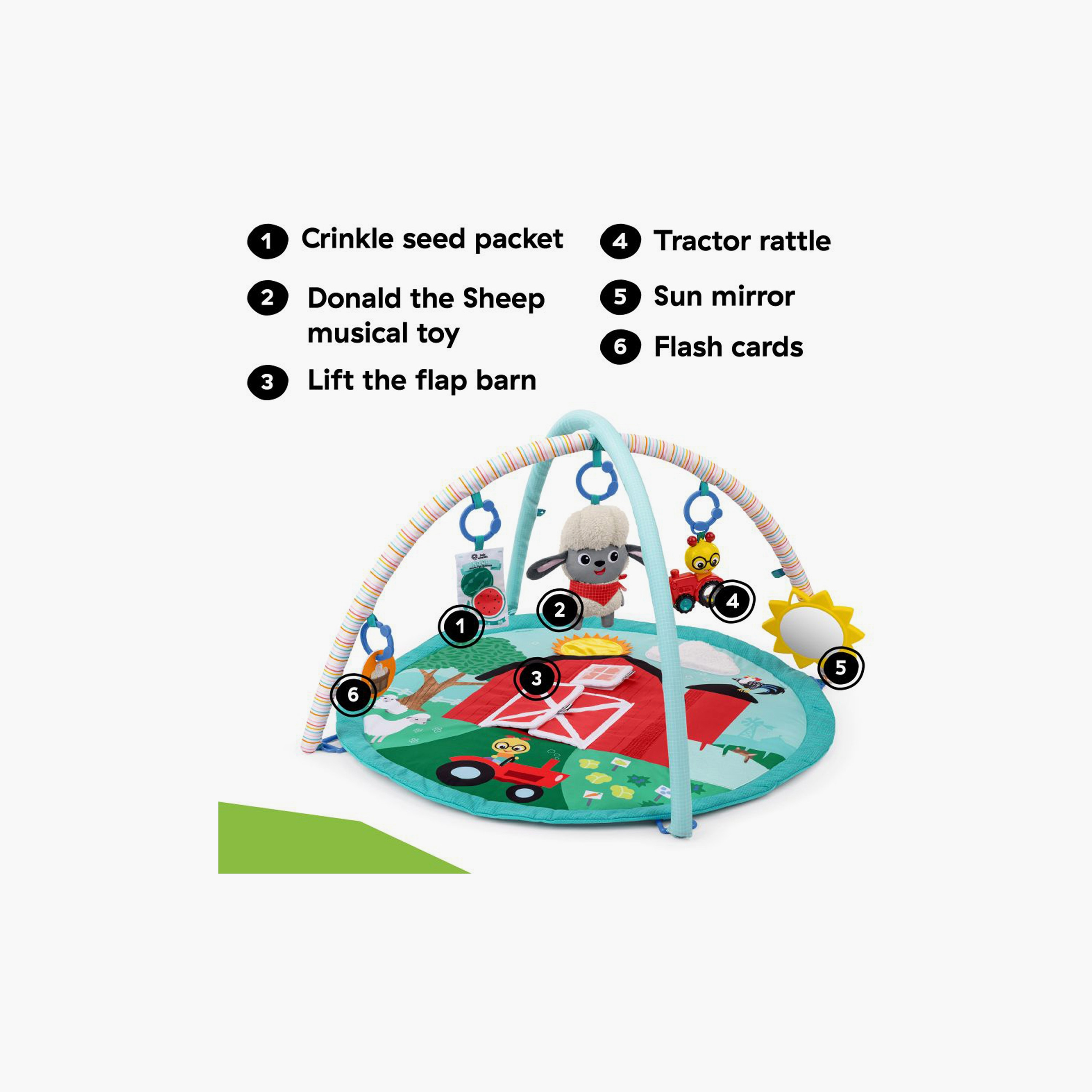 Baby Einstein Touch & Feel Activity Gym - Happy Harvest-baby-infantactivity-playgyms-image-7