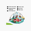 صالة ألعاب بيبي آينشتاين تاتش آند فيل للأنشطة - هابي هارفست-baby-infantactivity-playgyms-image-2