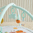 Juniors Fruit Applique Playgym-baby-infantactivity-playgyms-image-7