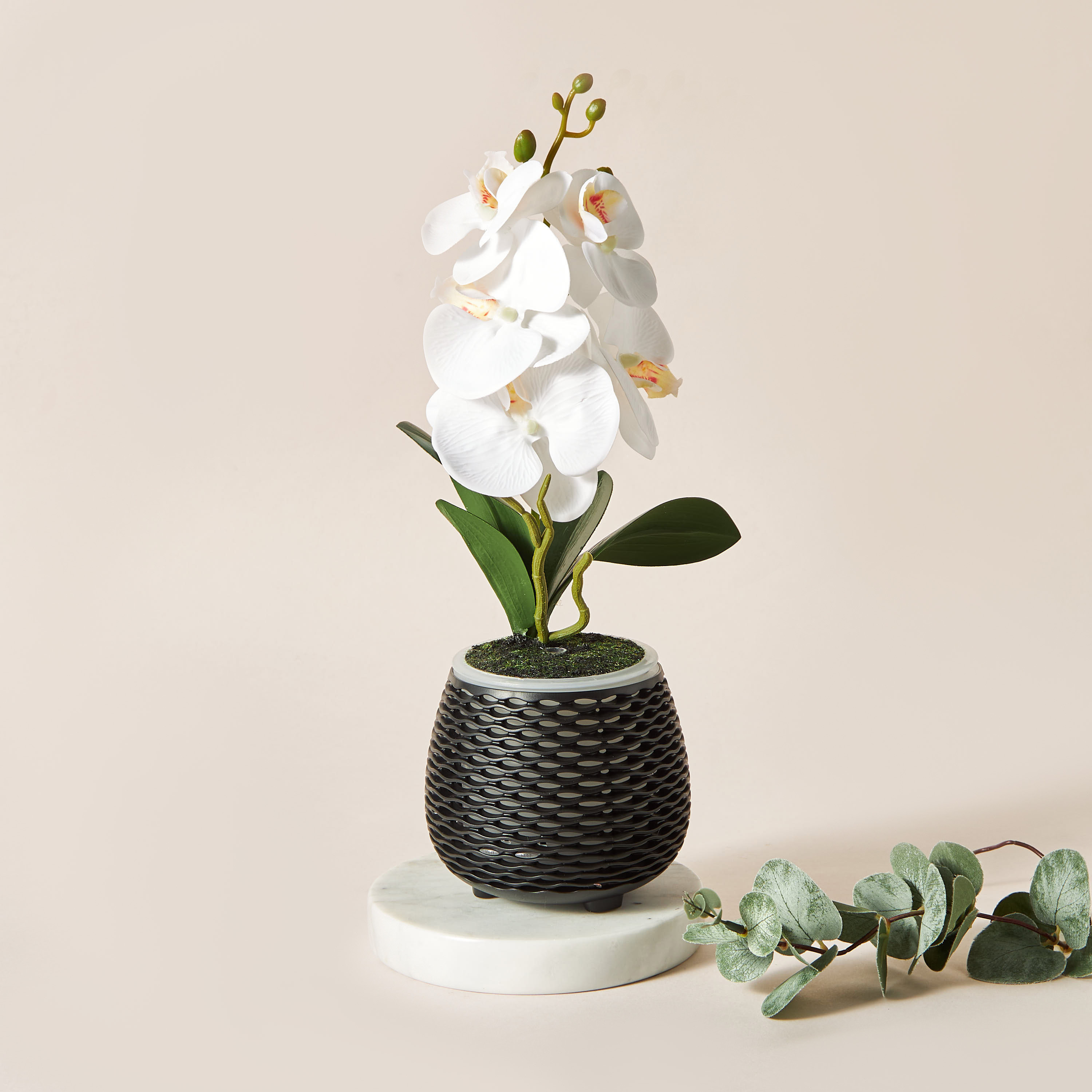 Florelle Botanical Aroma Diffuser-household-homefragrance-airrevitalisersandhumidifiers-image-2