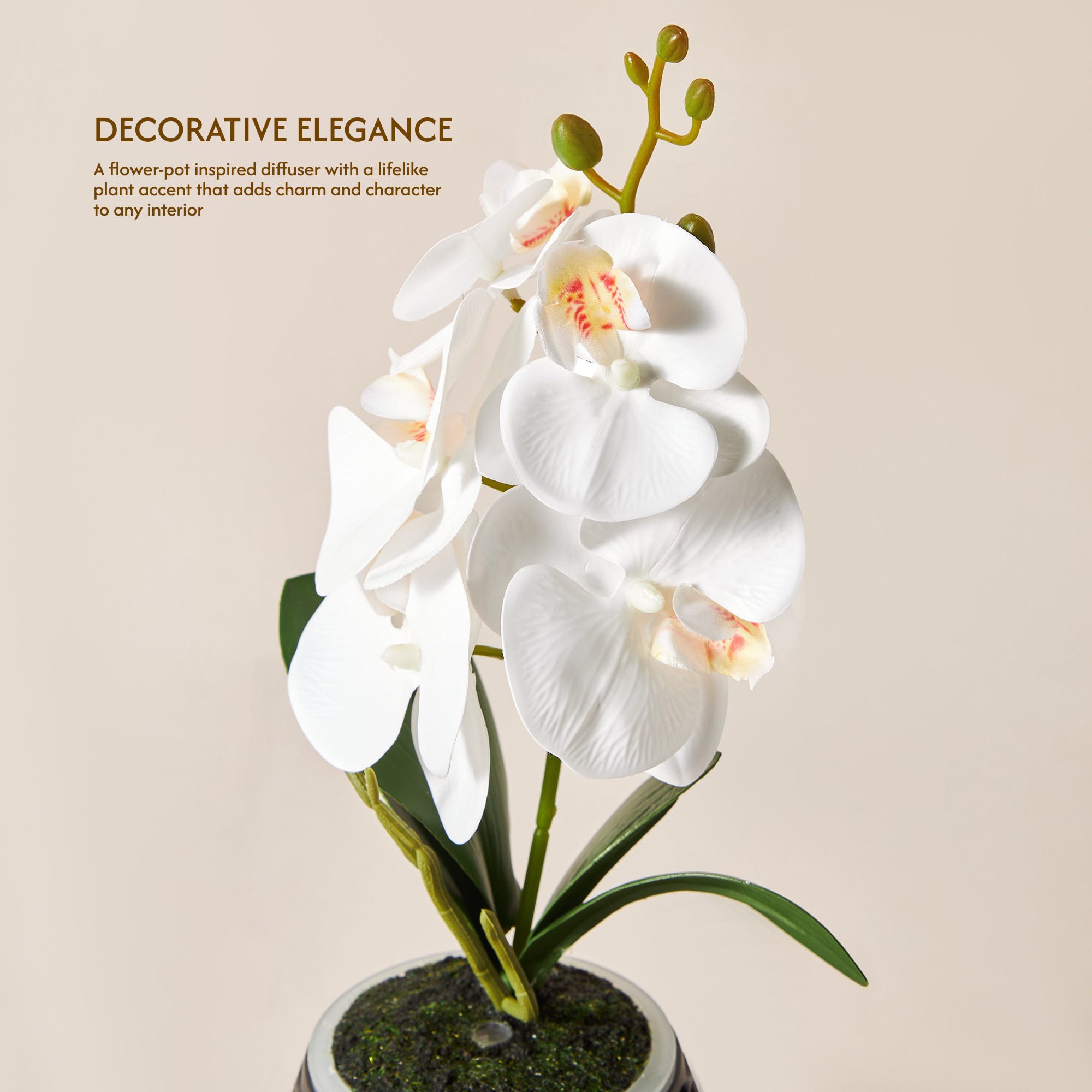 Florelle Botanical Aroma Diffuser-household-homefragrance-airrevitalisersandhumidifiers-image-5