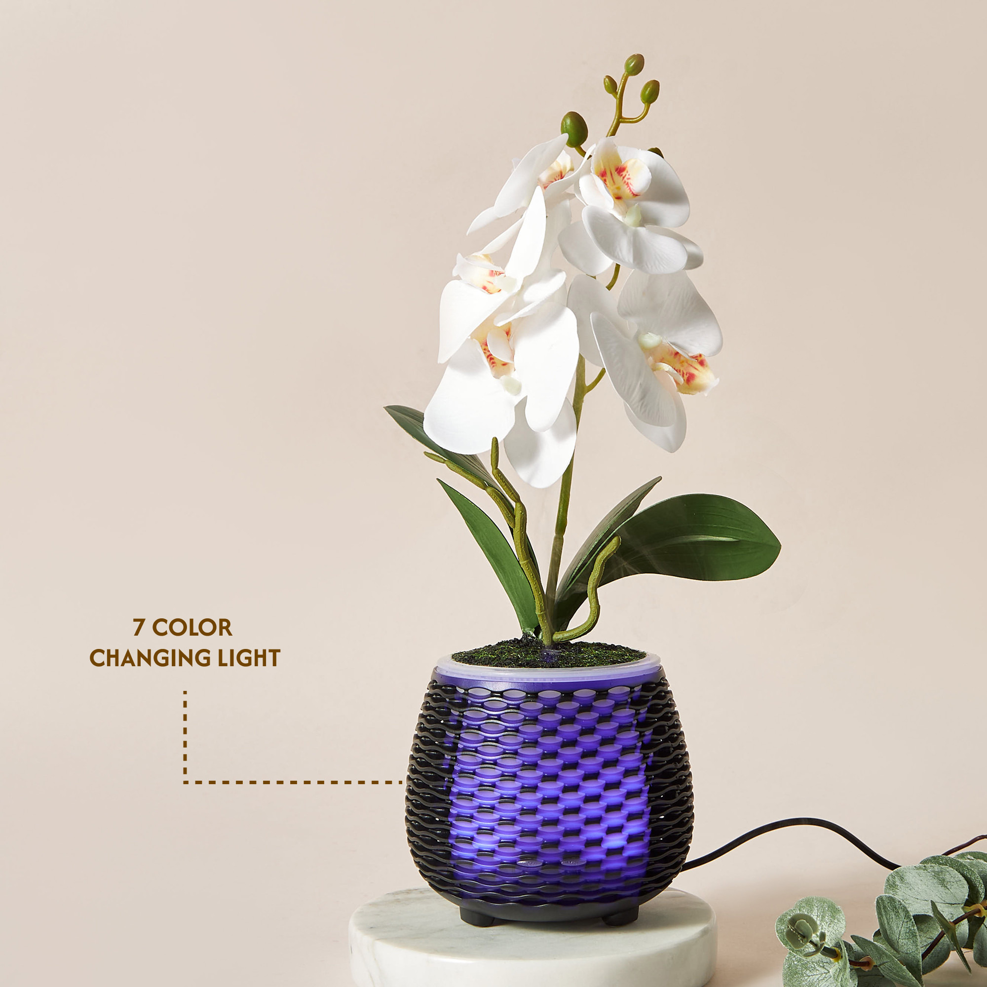 Florelle Botanical Aroma Diffuser-household-homefragrance-airrevitalisersandhumidifiers-image-6