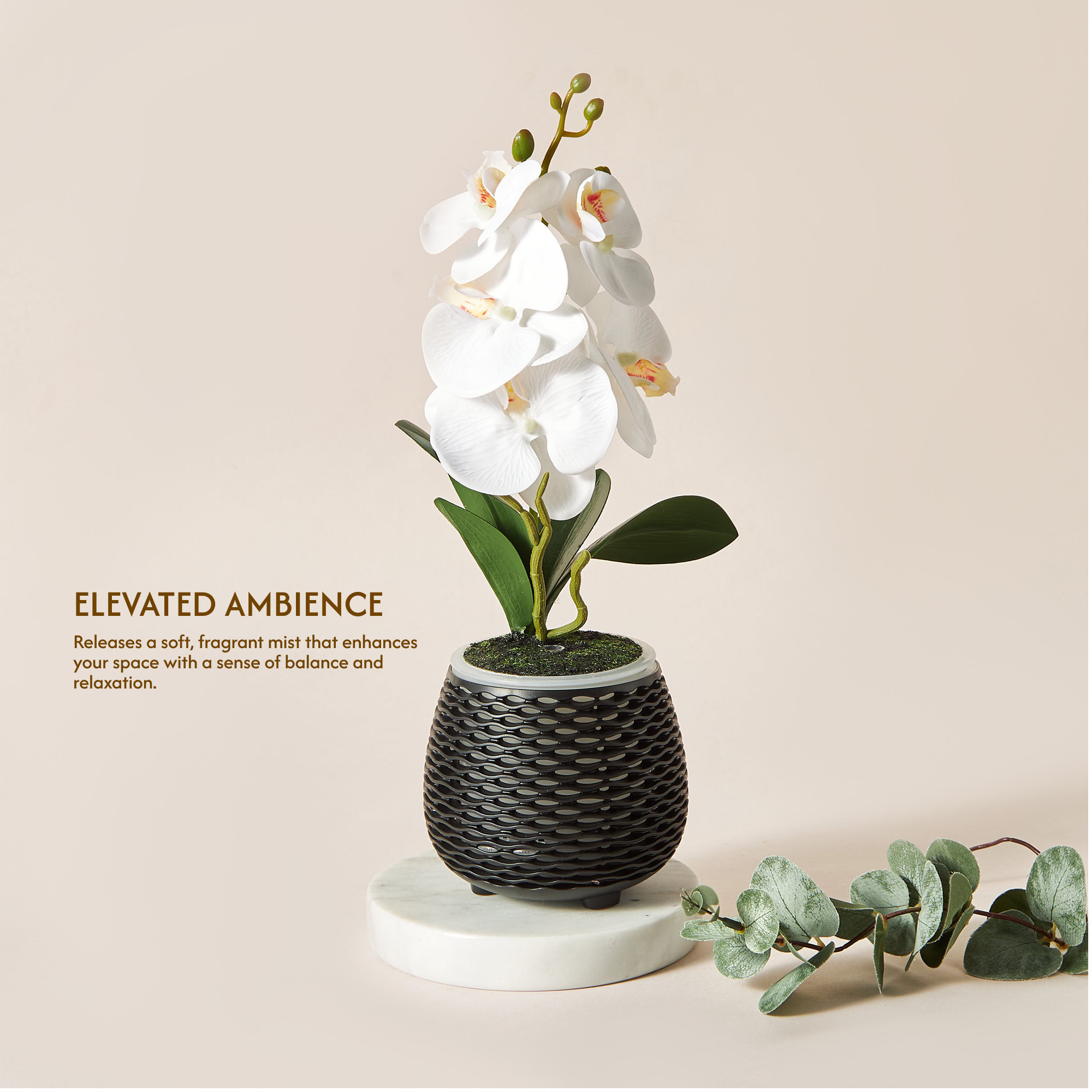 Florelle Botanical Aroma Diffuser-household-homefragrance-airrevitalisersandhumidifiers-image-7