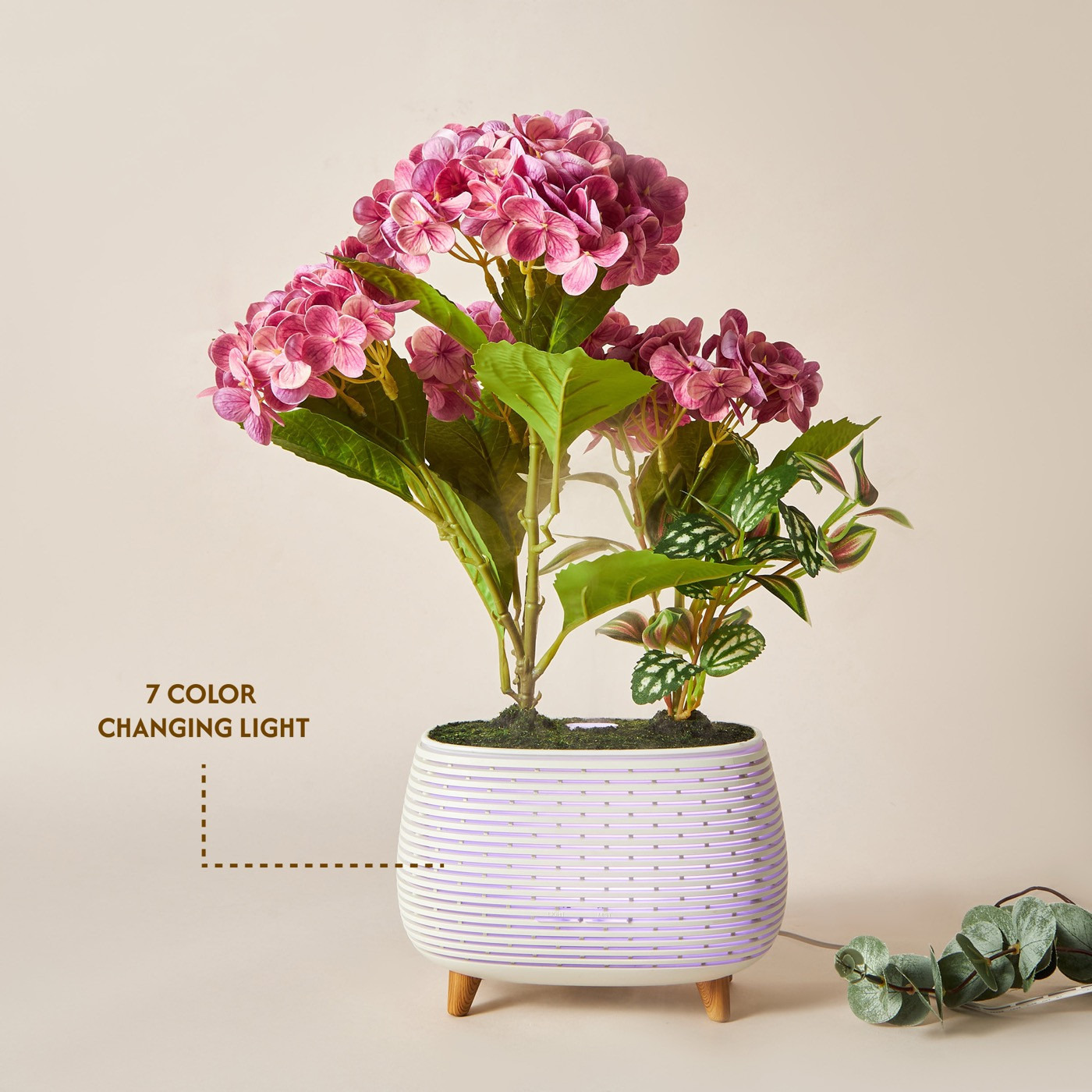 Hydressa Botanical Aroma Diffuser-household-homefragrance-airrevitalisersandhumidifiers-image-5