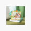كتاب سفاري بادي الناعم من برايت ستارتس، متعدد الألوان-baby-gear-strollersandprams-accessories-image-4